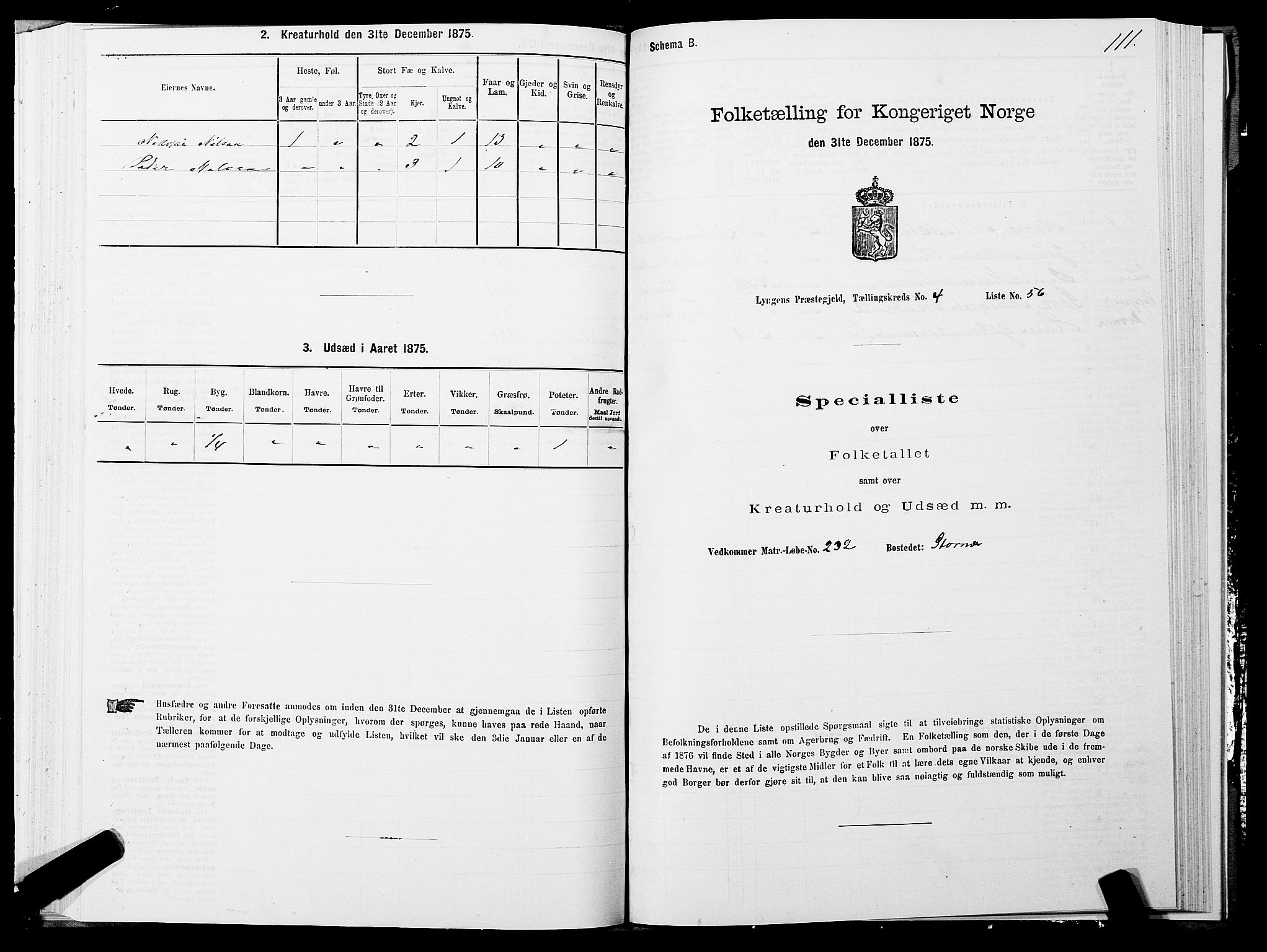 SATØ, 1875 census for 1938P Lyngen, 1875, p. 4111