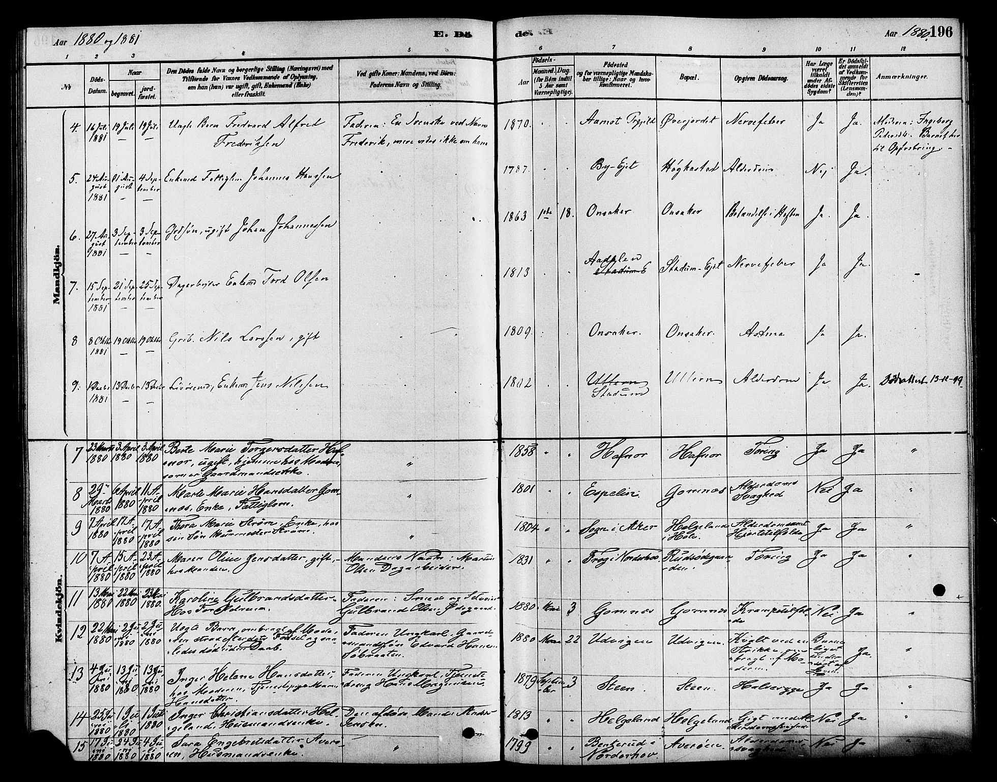 Hole kirkebøker, AV/SAKO-A-228/F/Fa/L0008: Parish register (official) no. I 8, 1878-1891, p. 196