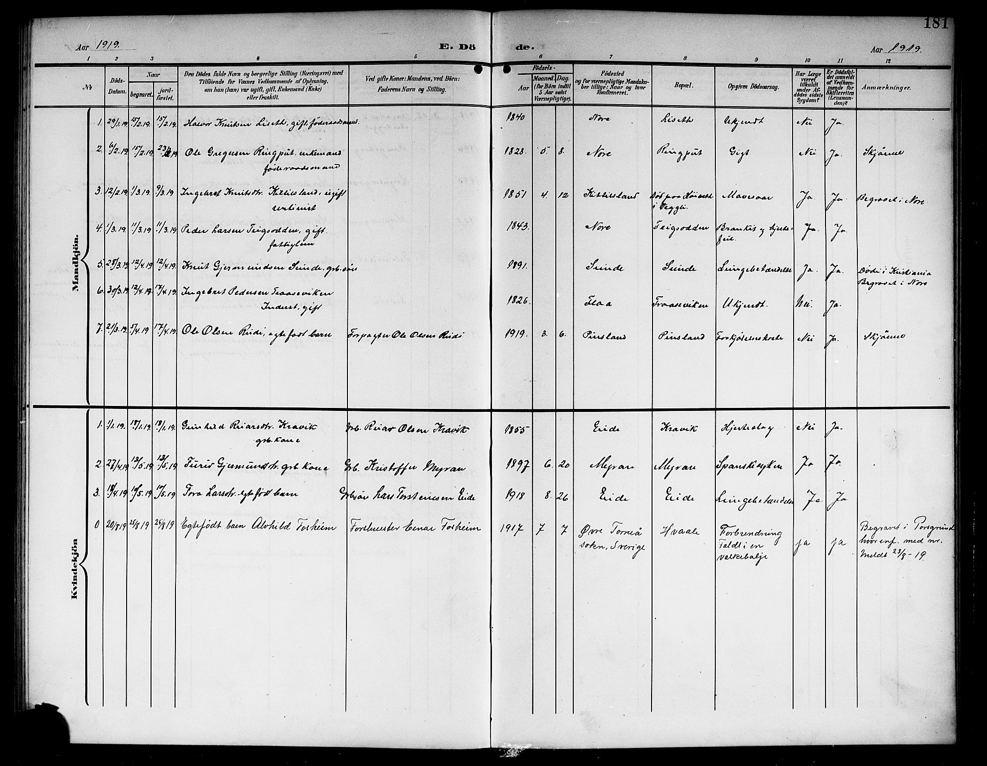 Nore kirkebøker, SAKO/A-238/G/Ga/L0004: Parish register (copy) no. I 4, 1904-1919, p. 181