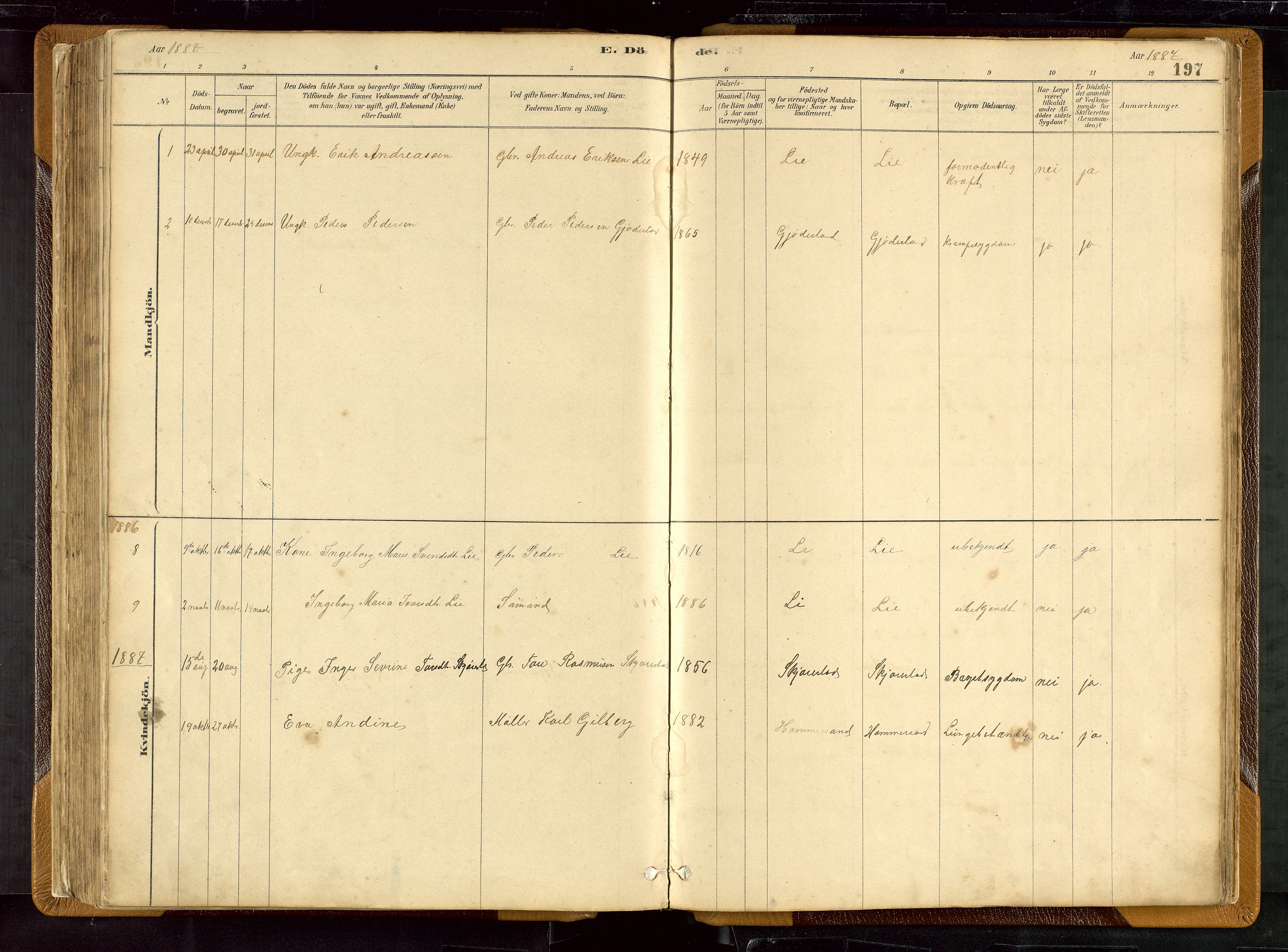 Hetland sokneprestkontor, SAST/A-101826/30/30BB/L0007: Parish register (copy) no. B 7, 1878-1910, p. 197