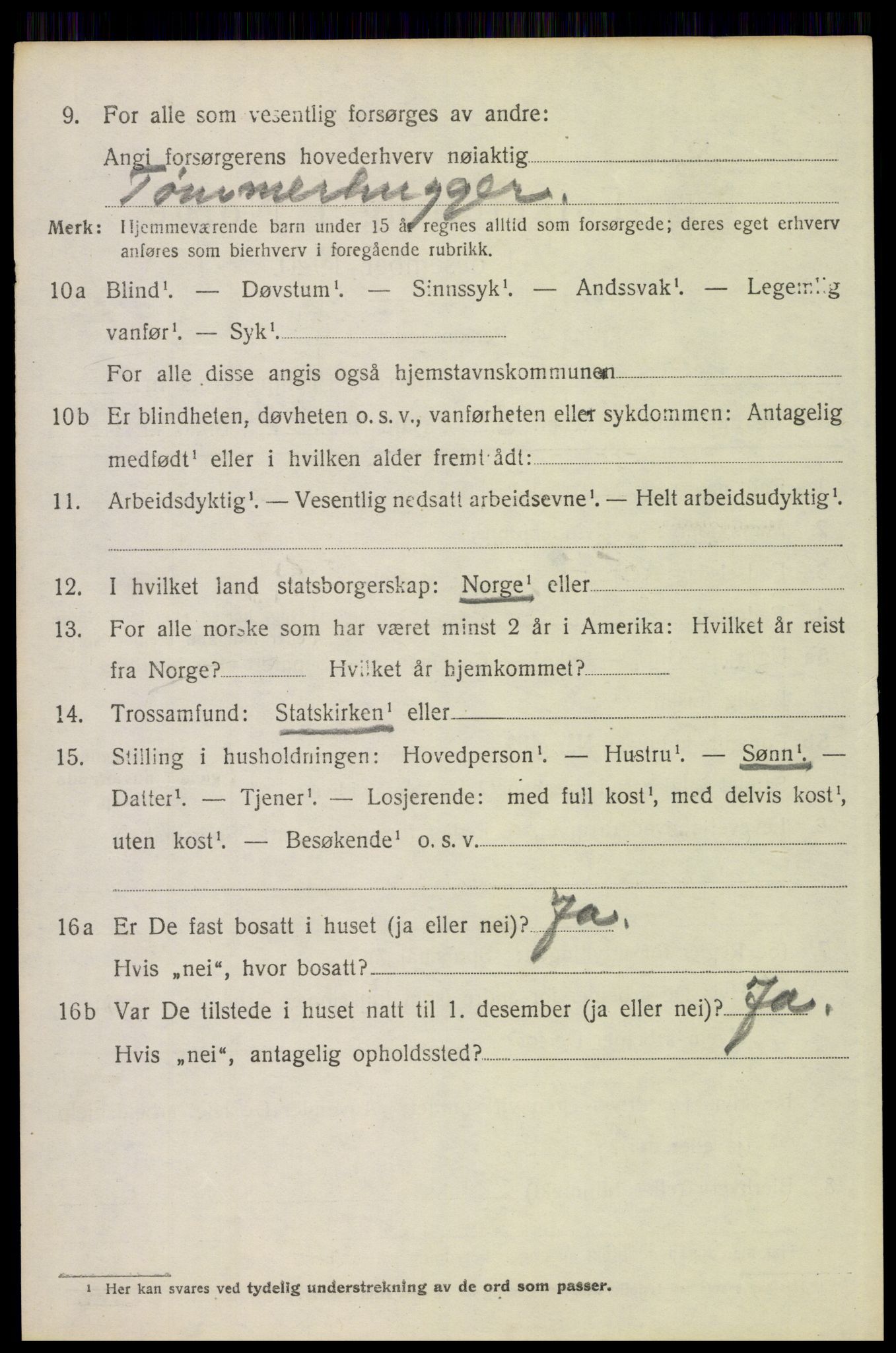 SAH, 1920 census for Elverum, 1920, p. 23381