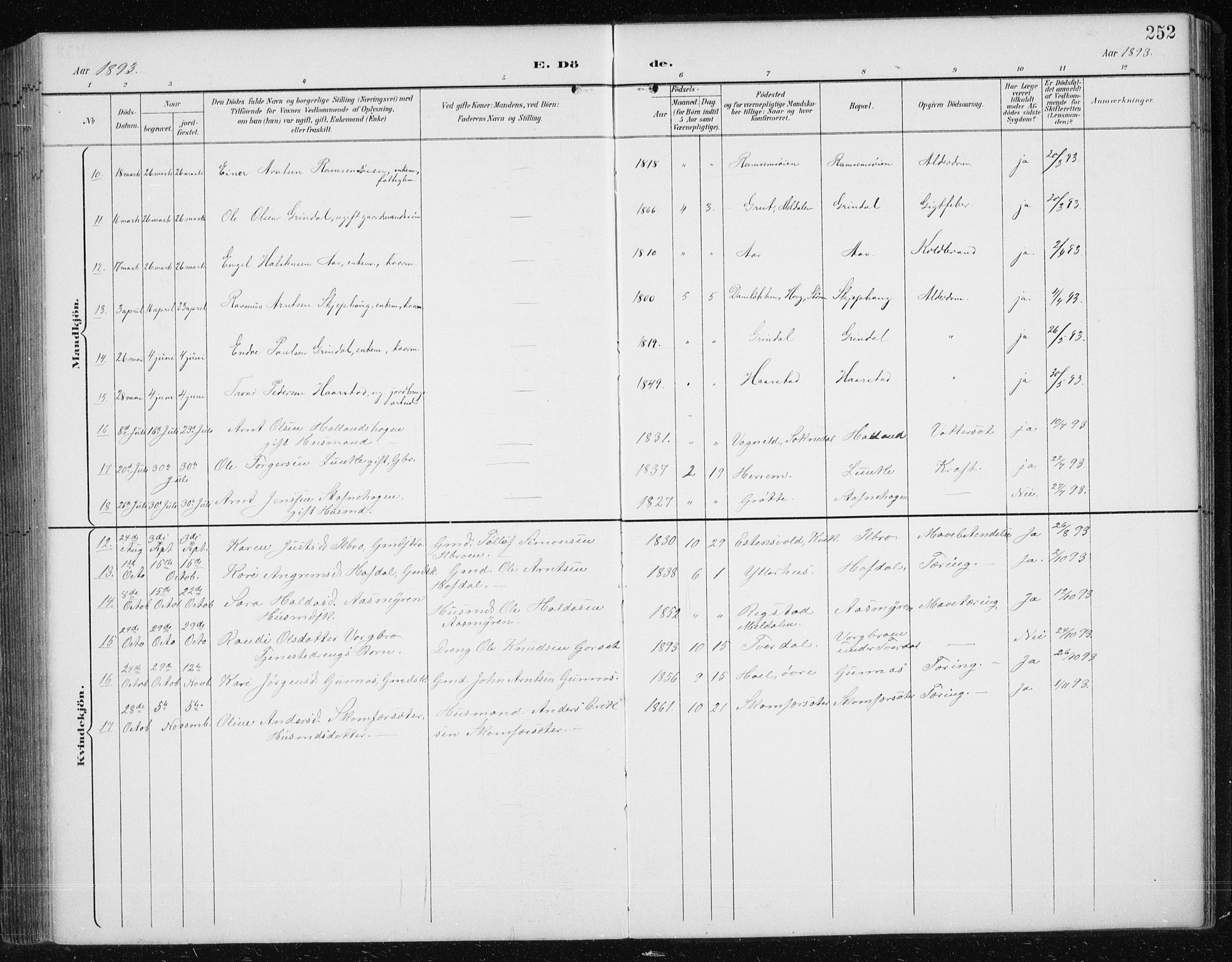 Ministerialprotokoller, klokkerbøker og fødselsregistre - Sør-Trøndelag, AV/SAT-A-1456/674/L0876: Parish register (copy) no. 674C03, 1892-1912, p. 252