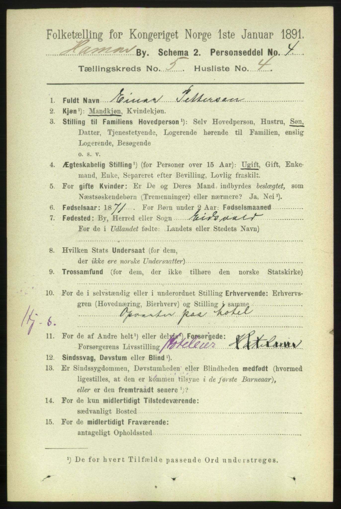 RA, 1891 census for 0401 Hamar, 1891, p. 3738