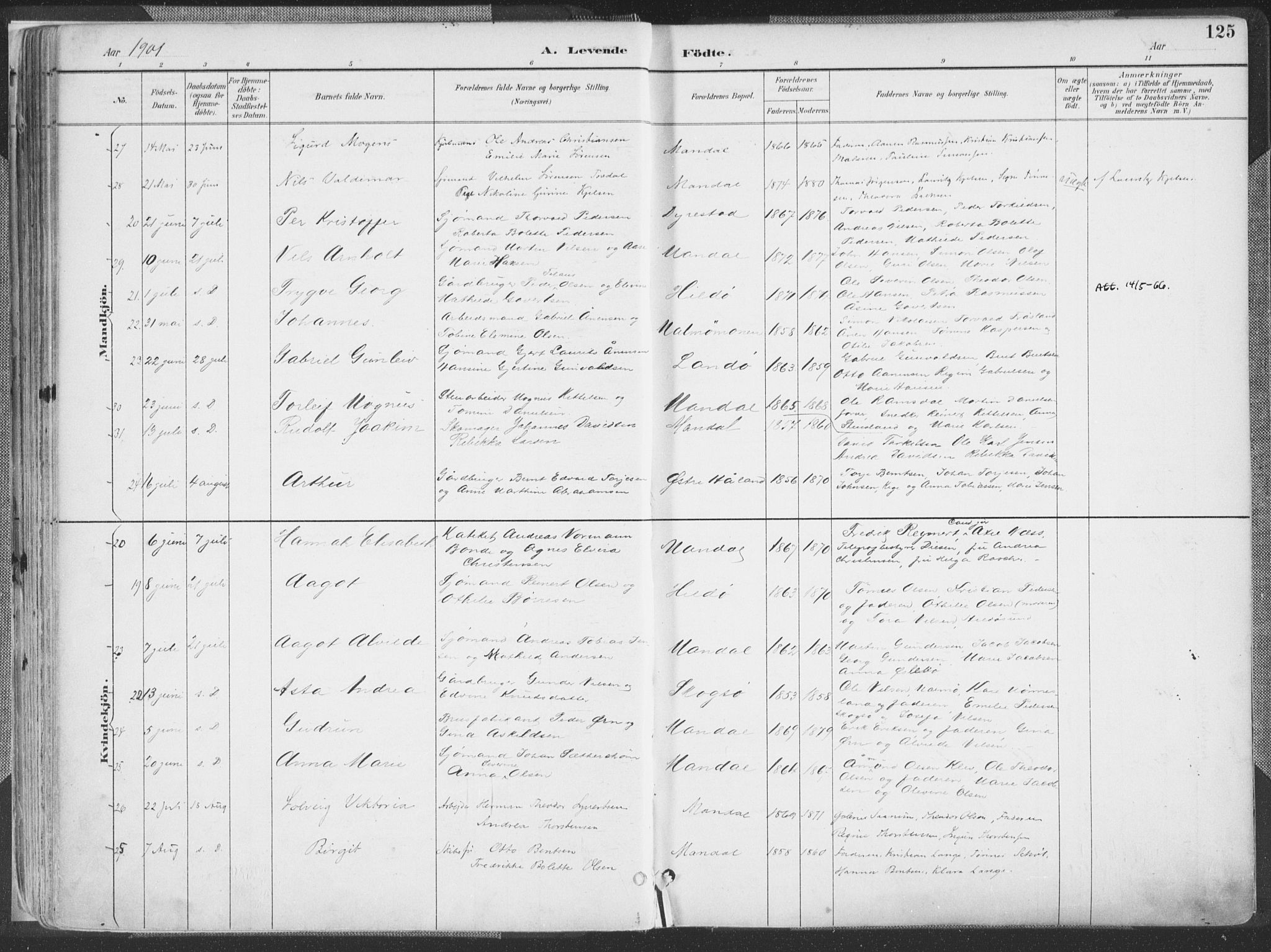 Mandal sokneprestkontor, AV/SAK-1111-0030/F/Fa/Faa/L0018: Parish register (official) no. A 18, 1890-1905, p. 125