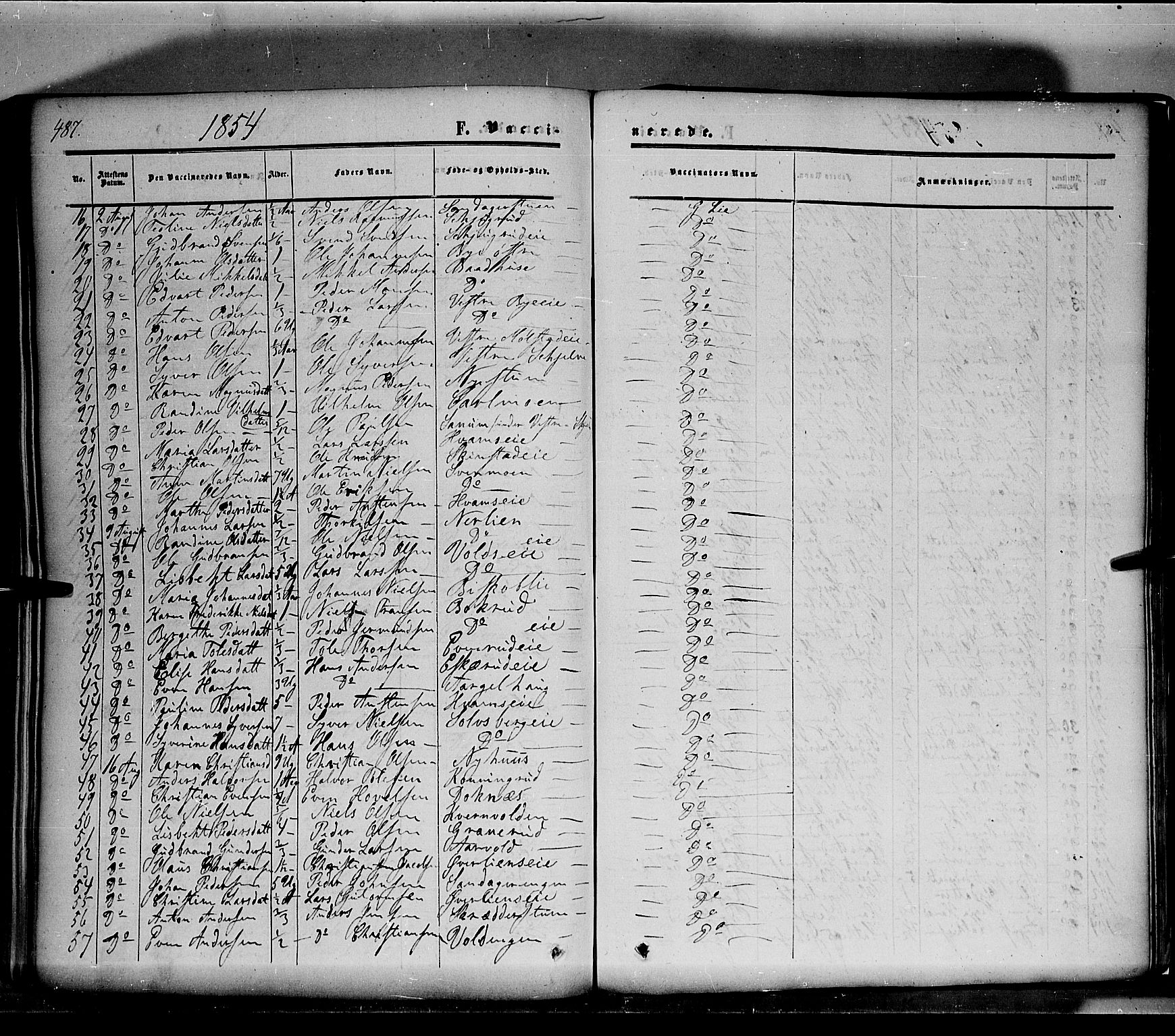 Nes prestekontor, Hedmark, SAH/PREST-020/K/Ka/L0004: Parish register (official) no. 4, 1852-1886, p. 487