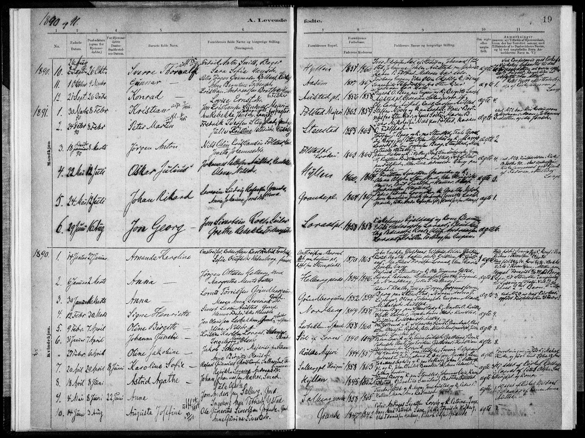 Ministerialprotokoller, klokkerbøker og fødselsregistre - Nord-Trøndelag, SAT/A-1458/731/L0309: Parish register (official) no. 731A01, 1879-1918, p. 19