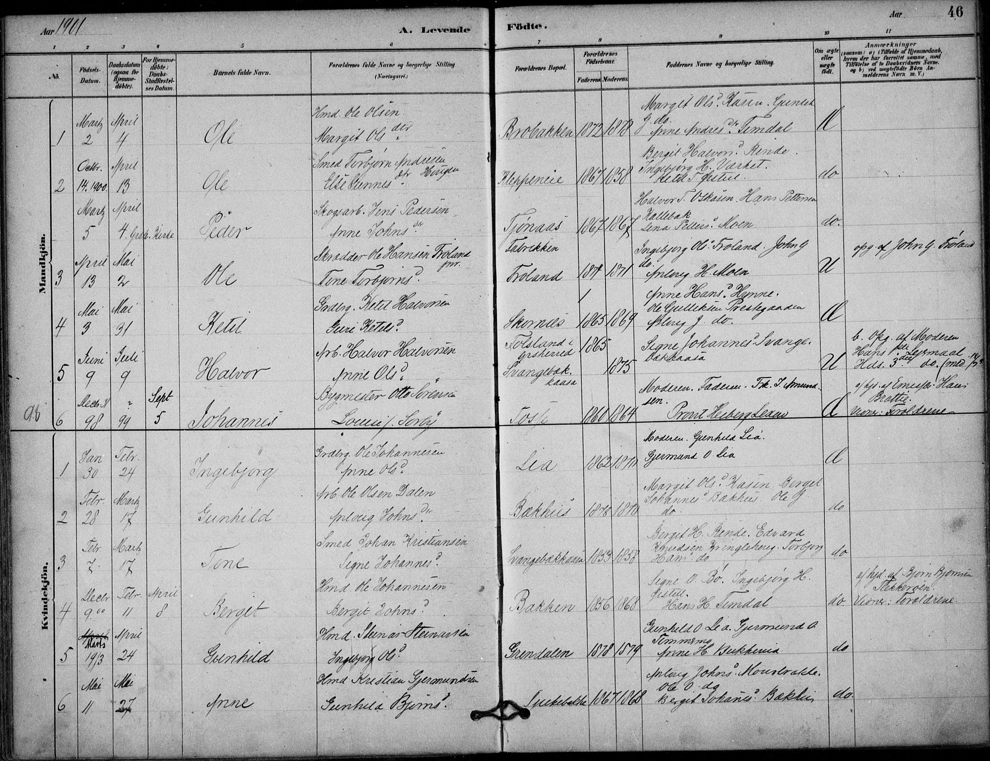 Hjartdal kirkebøker, SAKO/A-270/F/Fb/L0002: Parish register (official) no. II 2, 1880-1932, p. 46
