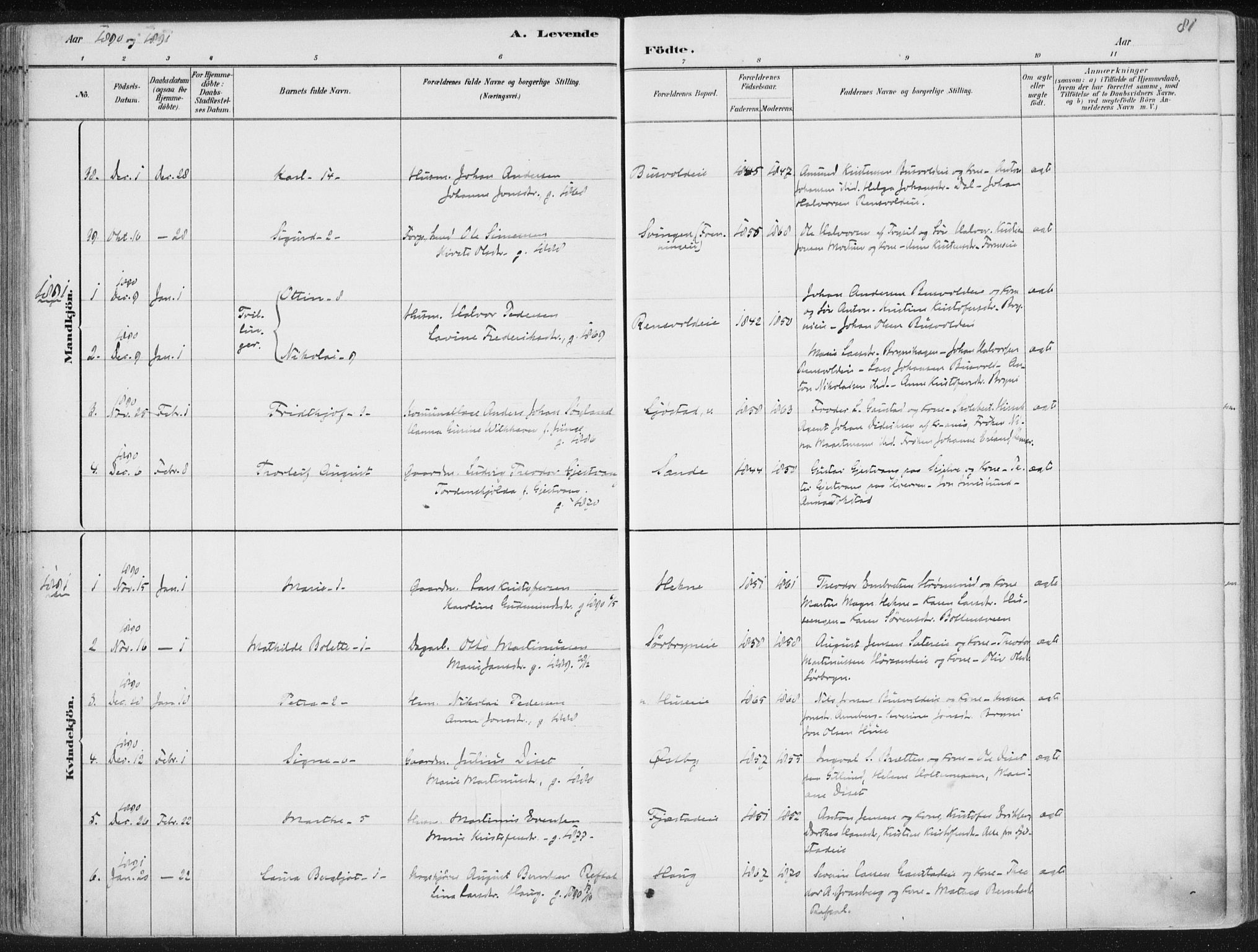 Romedal prestekontor, AV/SAH-PREST-004/K/L0010: Parish register (official) no. 10, 1880-1895, p. 81