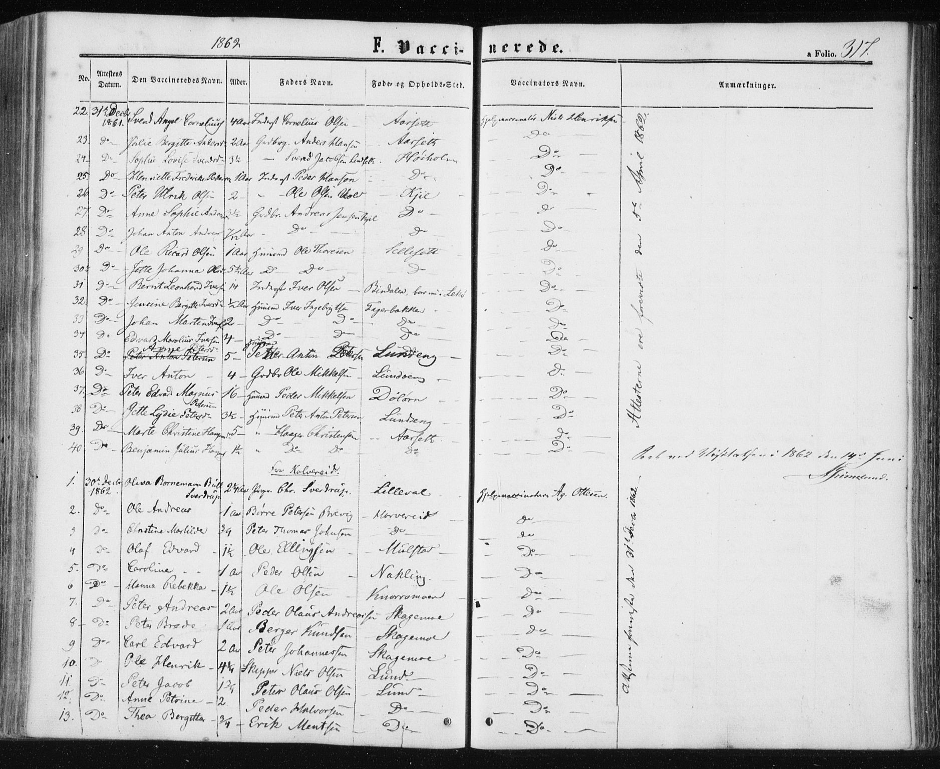 Ministerialprotokoller, klokkerbøker og fødselsregistre - Nord-Trøndelag, AV/SAT-A-1458/780/L0641: Parish register (official) no. 780A06, 1857-1874, p. 317