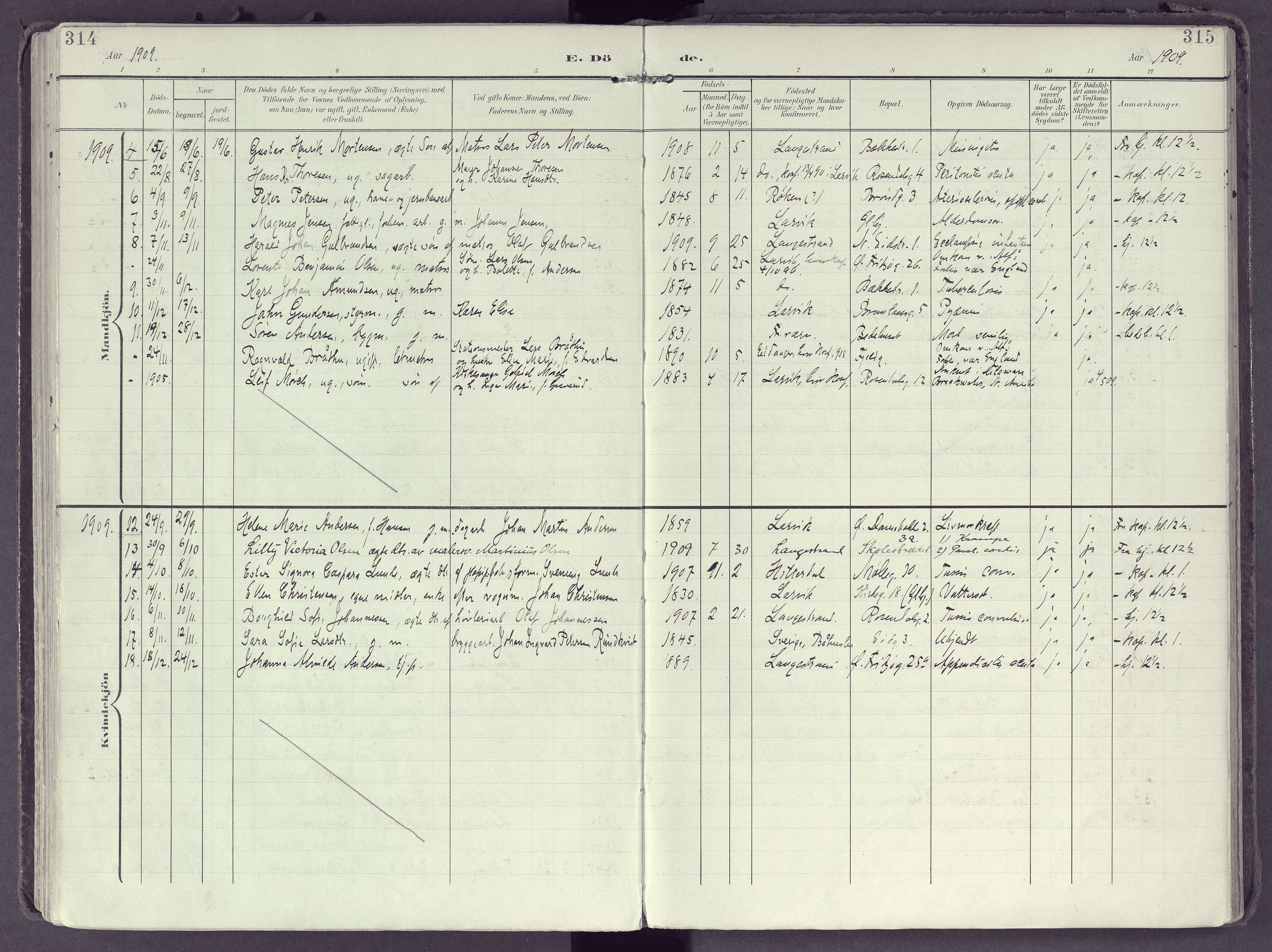 Larvik kirkebøker, SAKO/A-352/F/Fb/L0005: Parish register (official) no. II 5, 1903-1925, p. 314-315