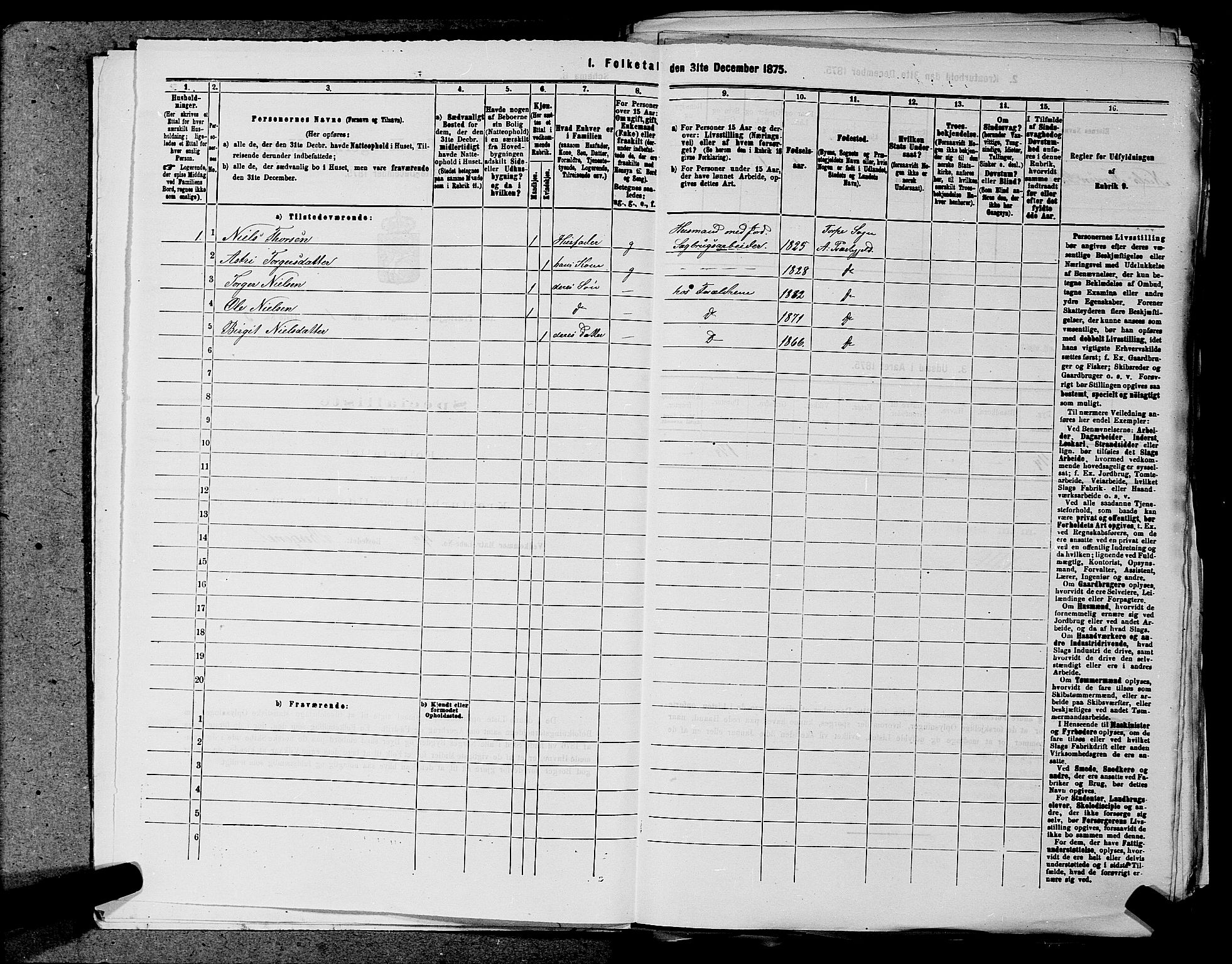 SAKO, 1875 census for 0619P Ål, 1875, p. 25