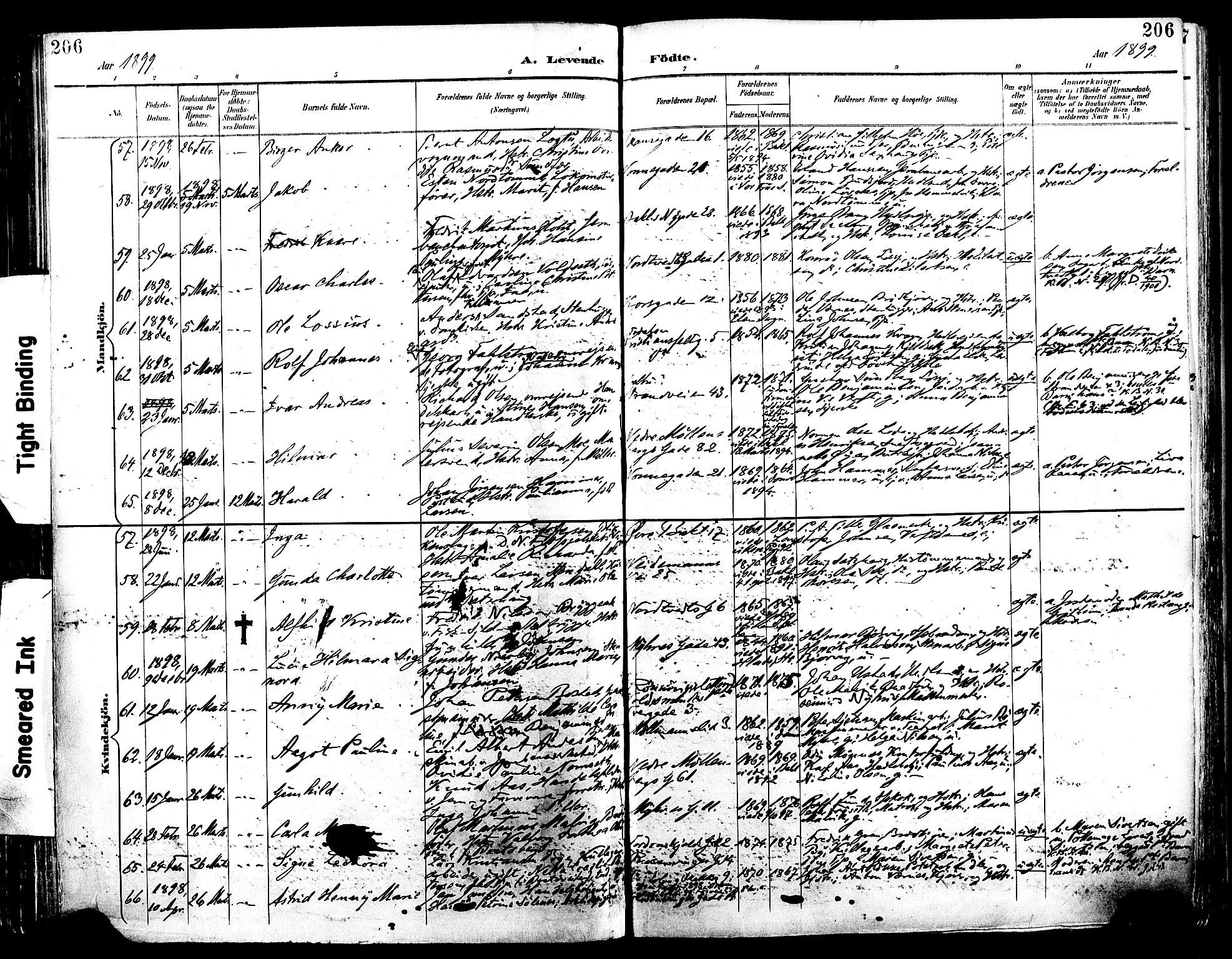 Ministerialprotokoller, klokkerbøker og fødselsregistre - Sør-Trøndelag, SAT/A-1456/604/L0197: Parish register (official) no. 604A18, 1893-1900, p. 206