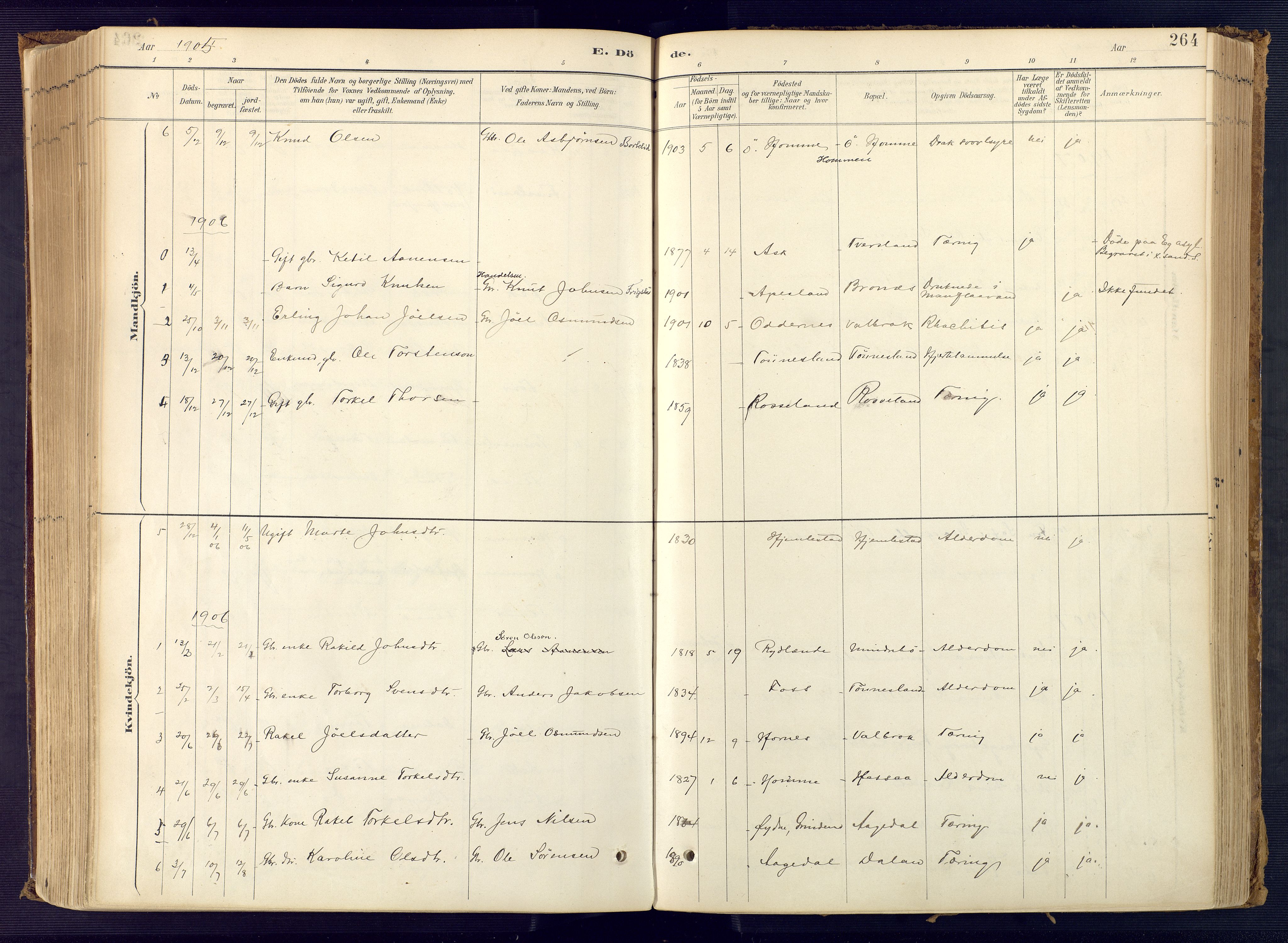 Bjelland sokneprestkontor, SAK/1111-0005/F/Fa/Faa/L0004: Parish register (official) no. A 4, 1887-1923, p. 264