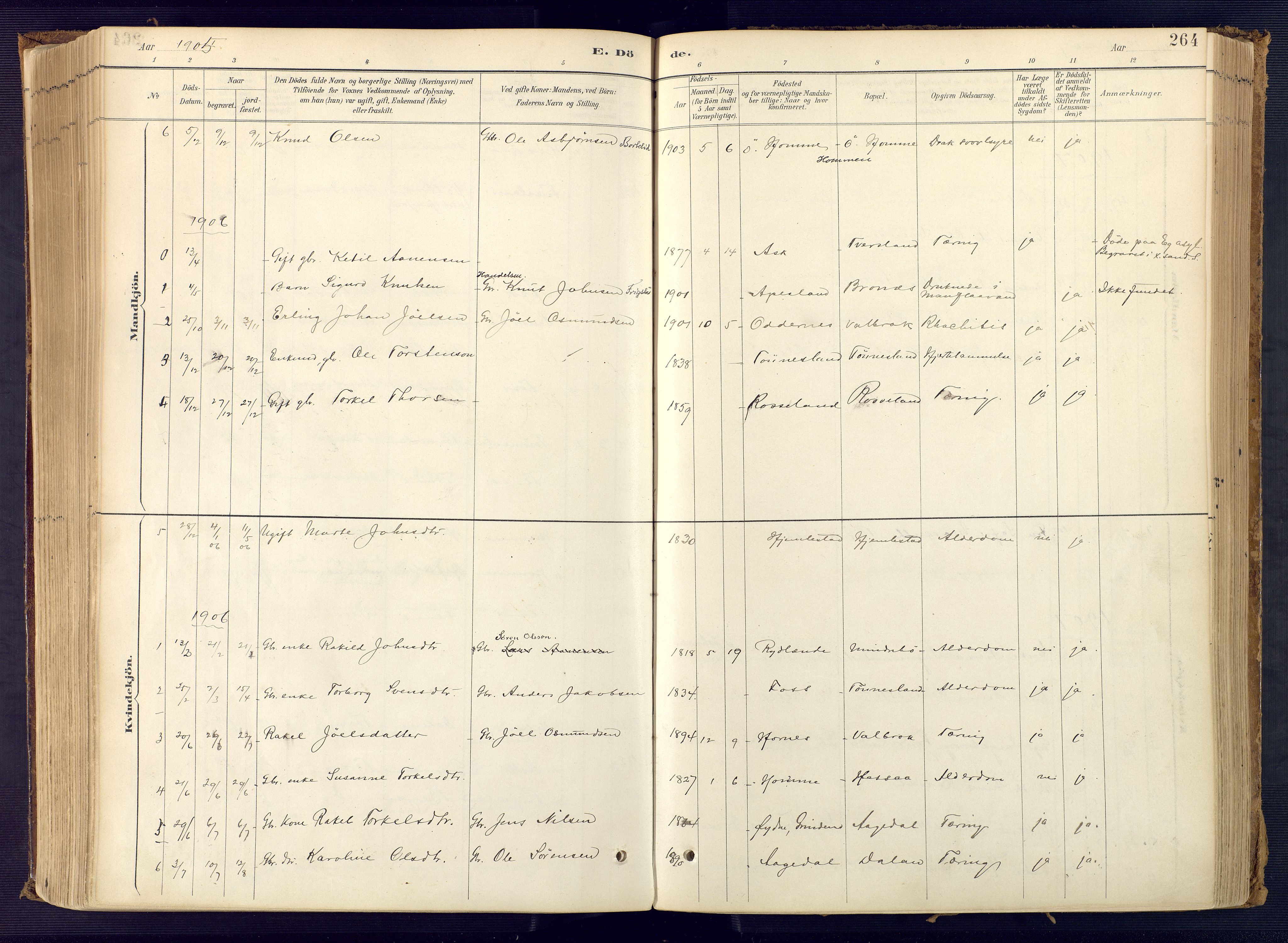 Bjelland sokneprestkontor, AV/SAK-1111-0005/F/Fa/Faa/L0004: Parish register (official) no. A 4, 1887-1923, p. 264