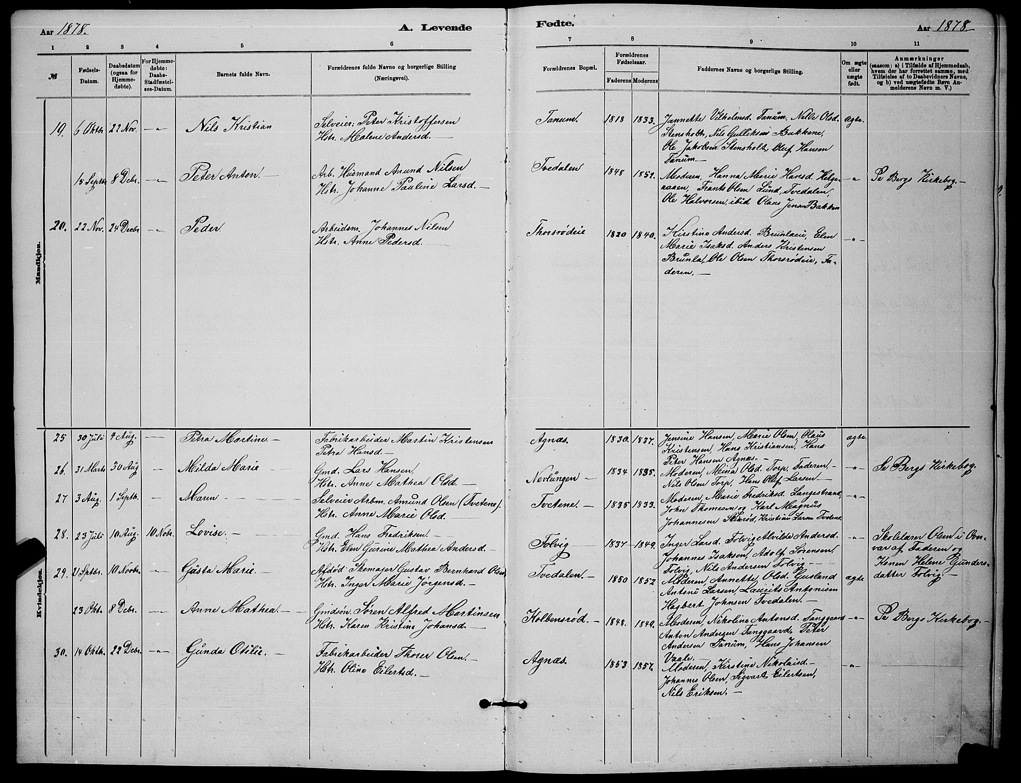 Brunlanes kirkebøker, AV/SAKO-A-342/G/Ga/L0003: Parish register (copy) no. I 3, 1877-1898