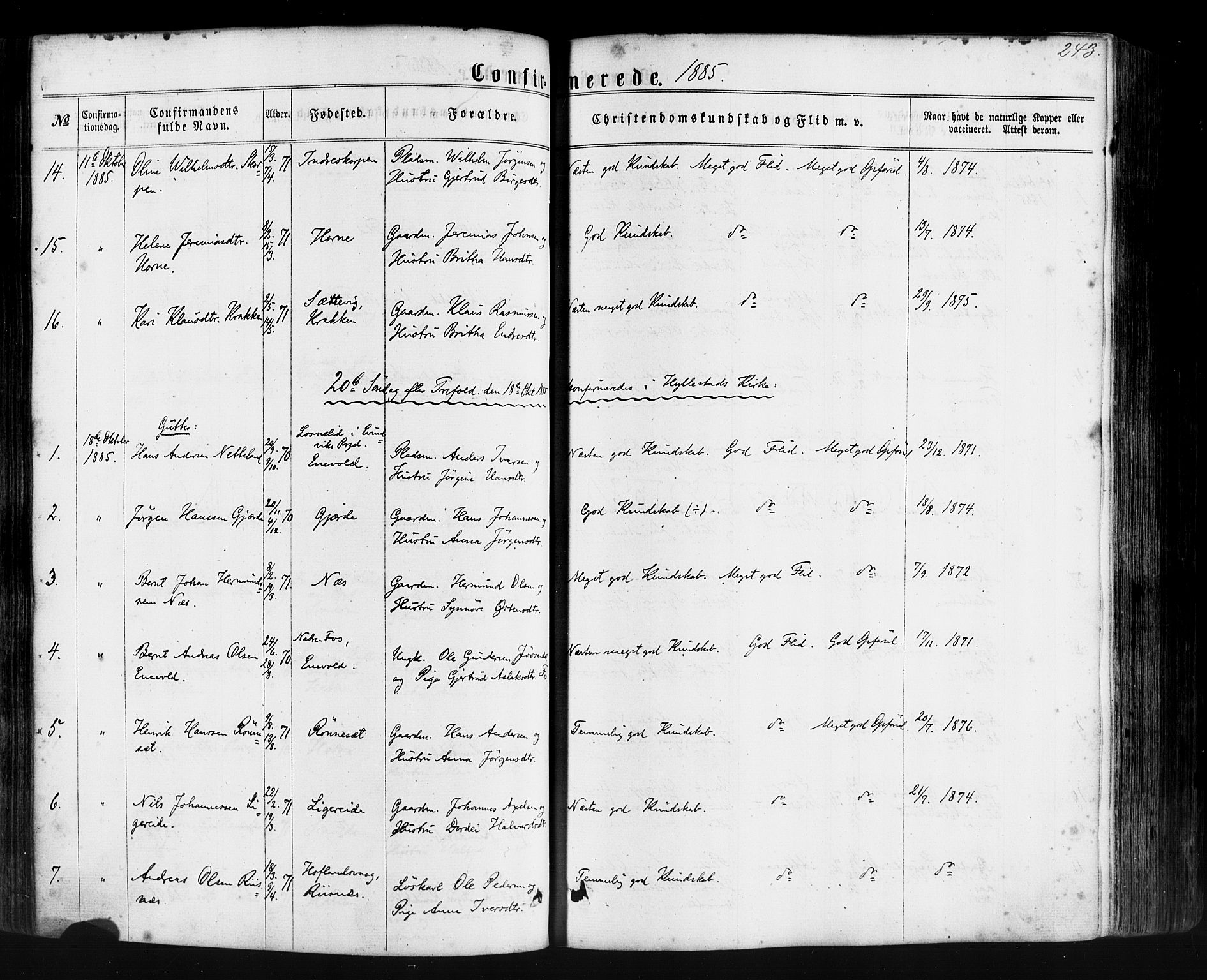 Hyllestad sokneprestembete, SAB/A-80401: Parish register (official) no. A 1, 1861-1886, p. 243