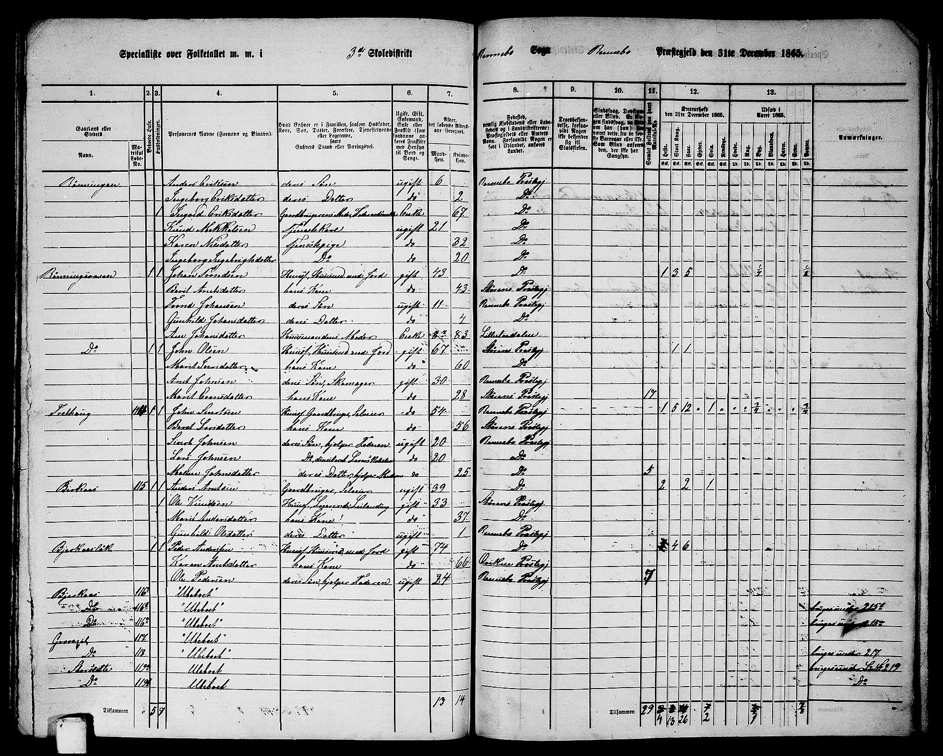 RA, 1865 census for Rennebu, 1865, p. 54