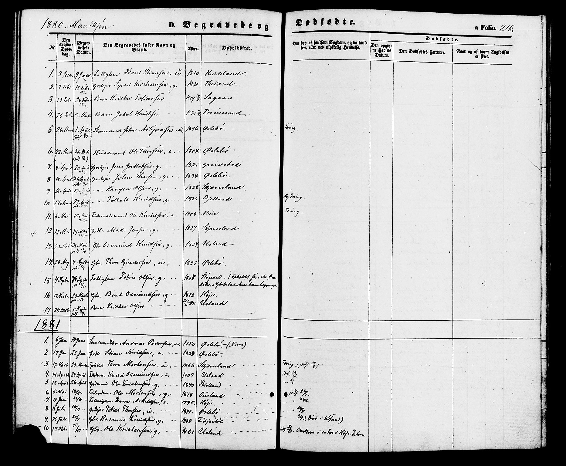 Holum sokneprestkontor, AV/SAK-1111-0022/F/Fa/Fac/L0003: Parish register (official) no. A 3, 1860-1883, p. 216