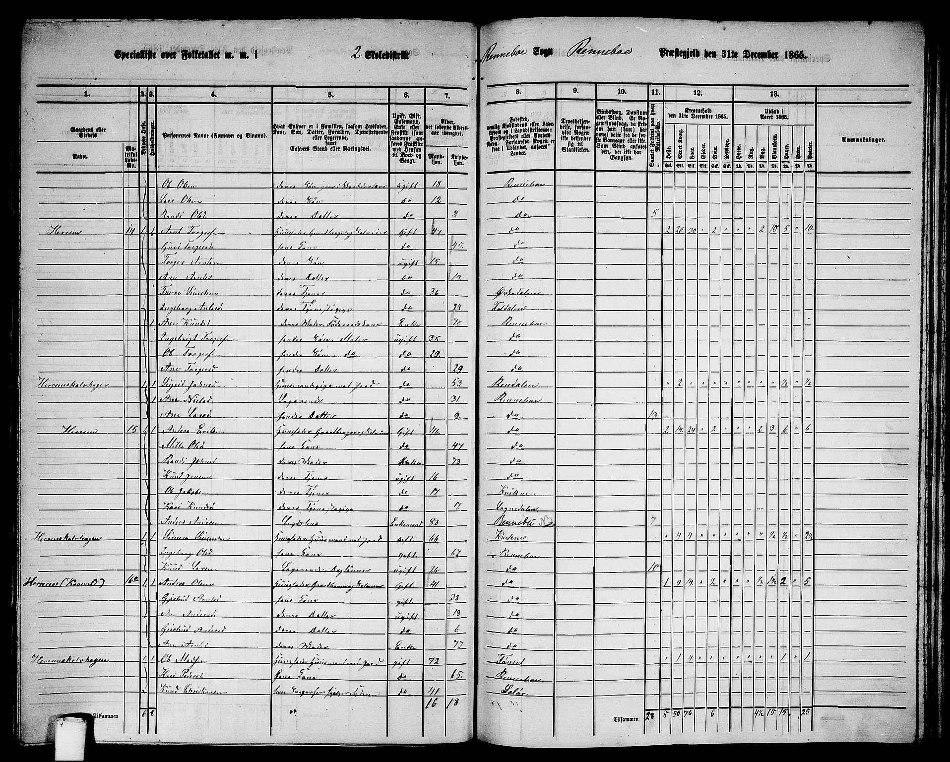 RA, 1865 census for Rennebu, 1865, p. 29