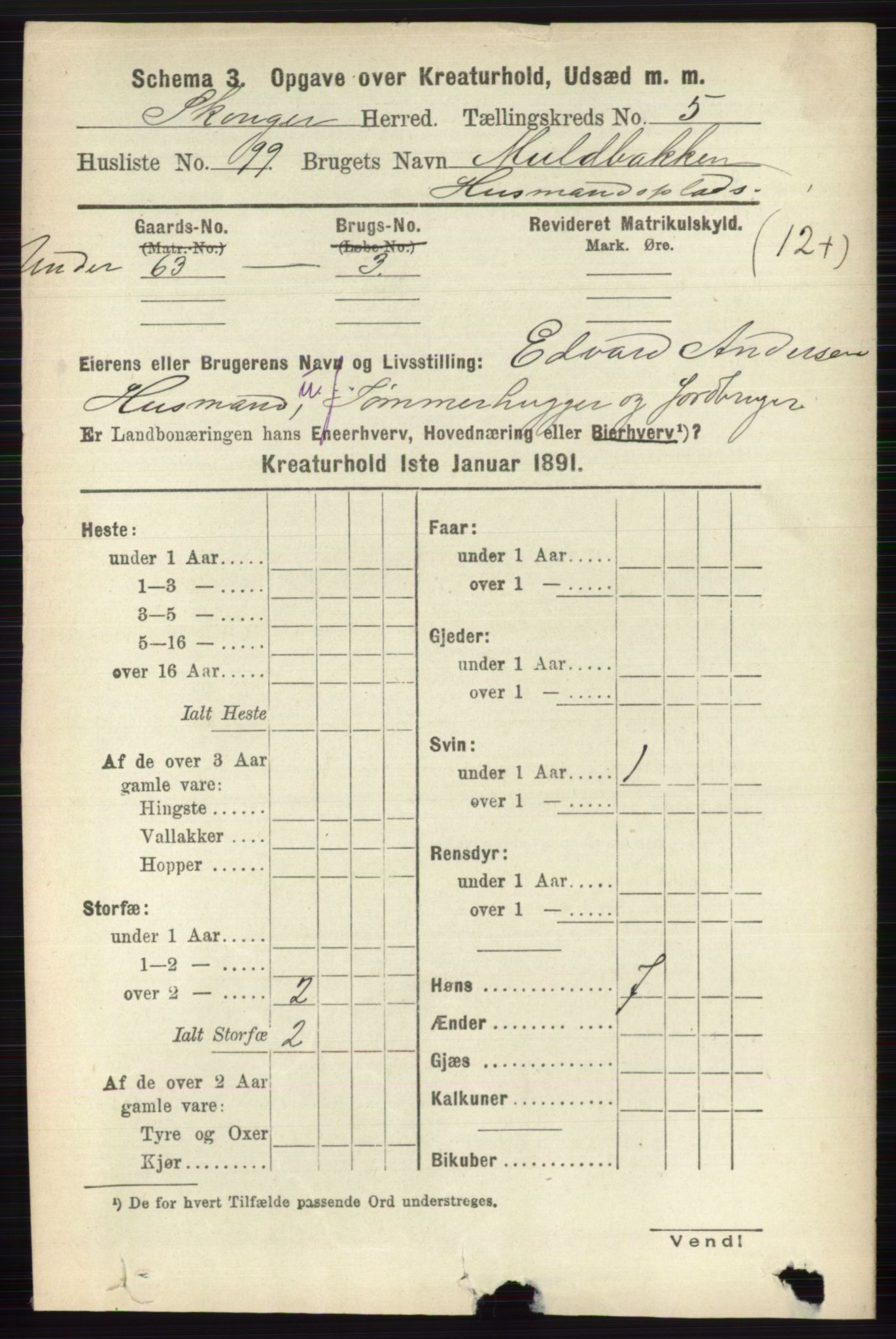 RA, 1891 census for 0712 Skoger, 1891, p. 5183