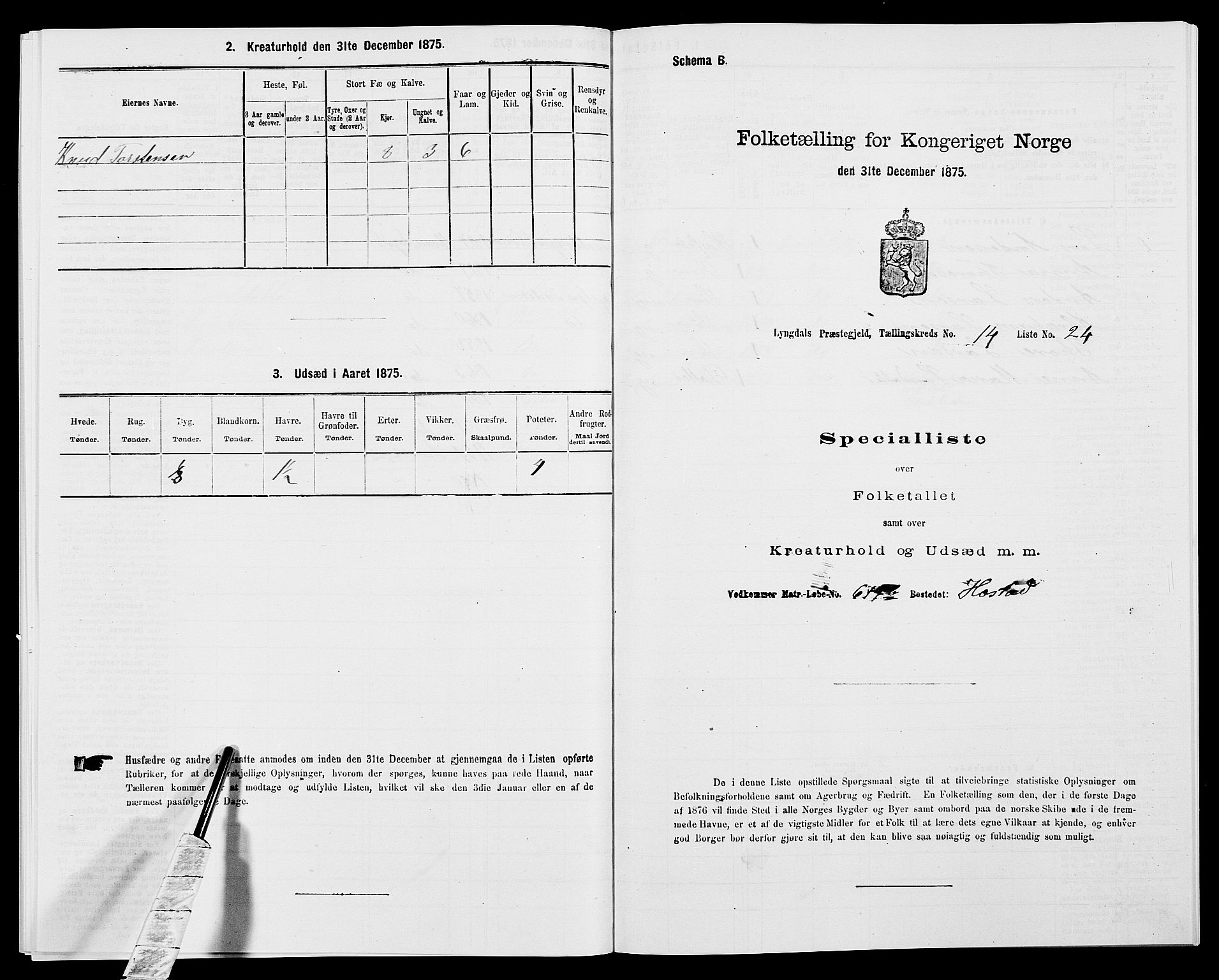 SAK, 1875 census for 1032P Lyngdal, 1875, p. 2063