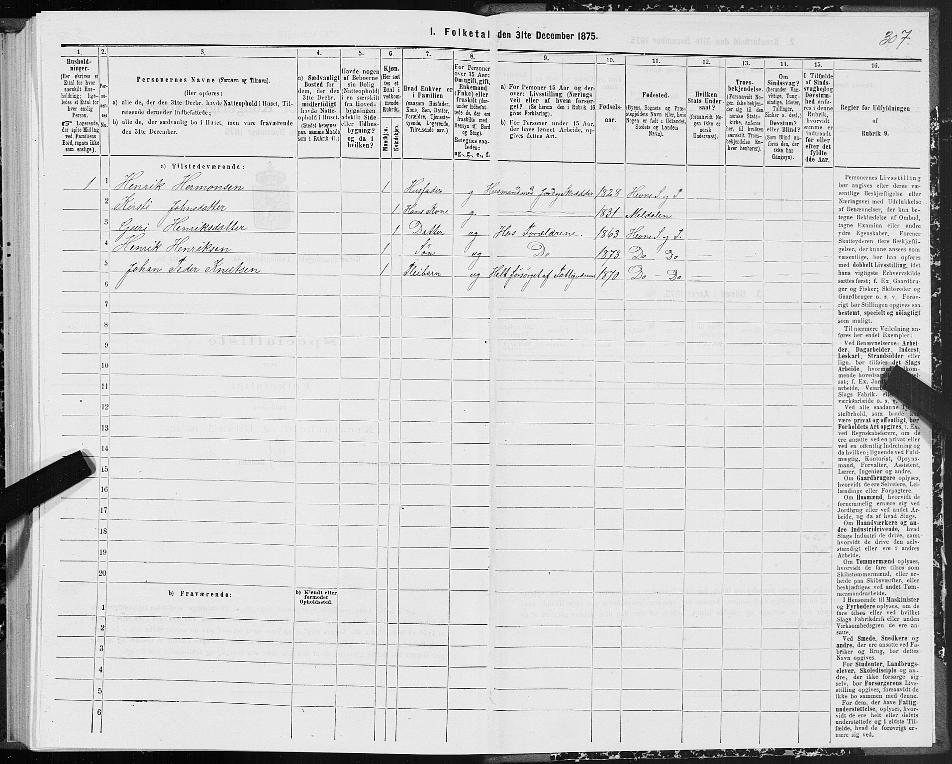 SAT, 1875 census for 1612P Hemne, 1875, p. 4307