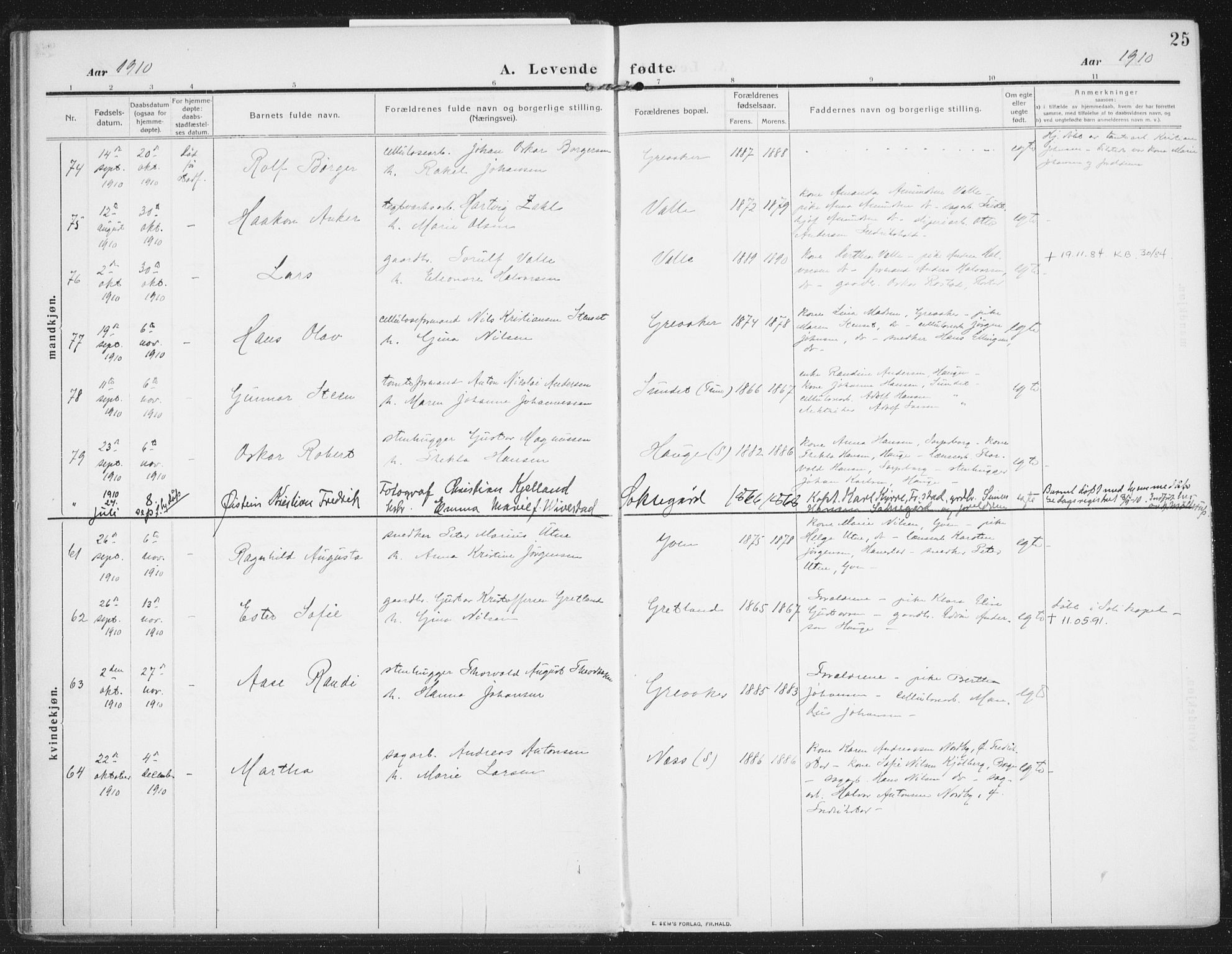 Rolvsøy prestekontor Kirkebøker, AV/SAO-A-2004/F/Fa/L0002: Parish register (official) no. 2, 1909-1917, p. 25