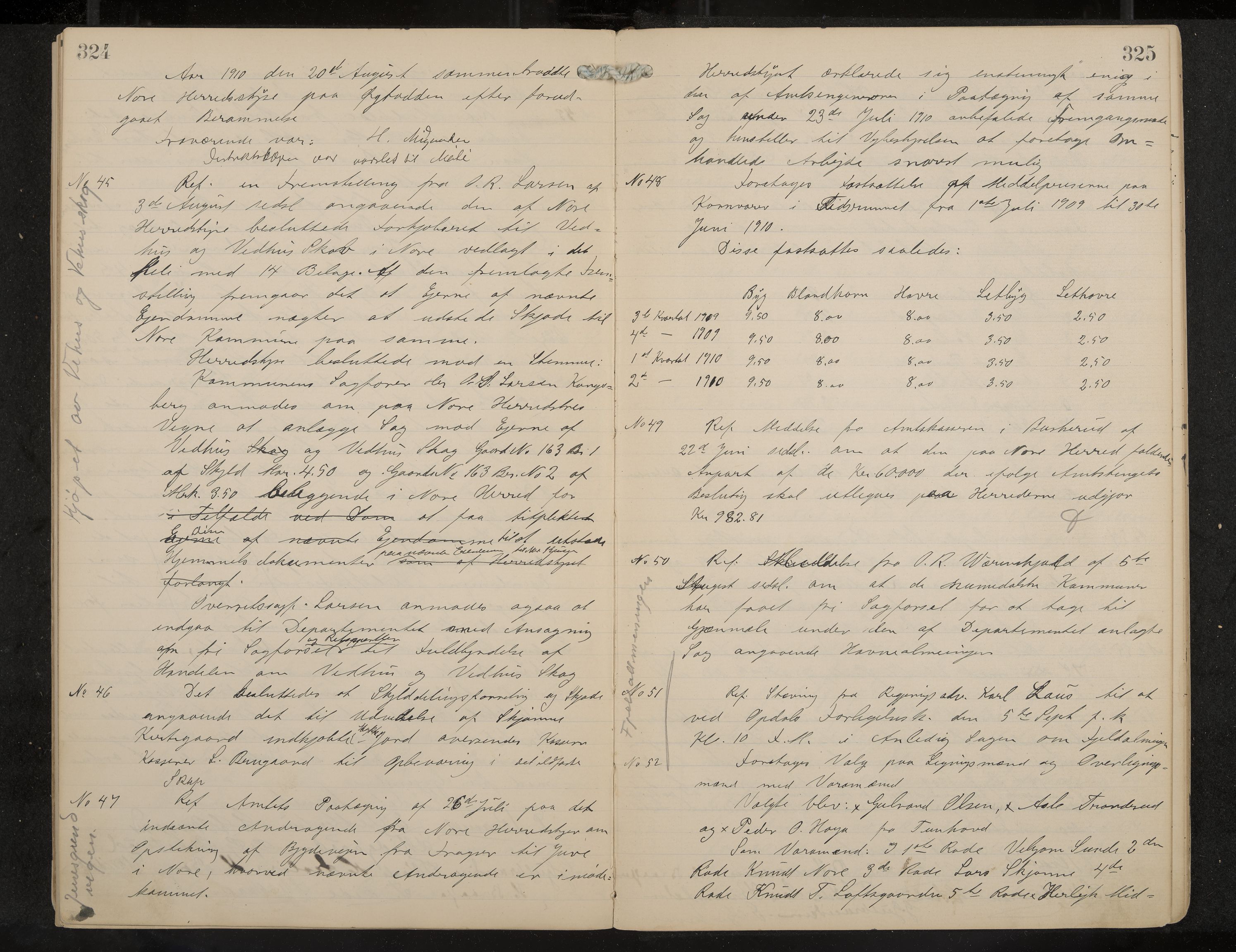 Nore formannskap og sentraladministrasjon, IKAK/0633021-2/A/Aa/L0001: Møtebok, 1901-1911, p. 324-325