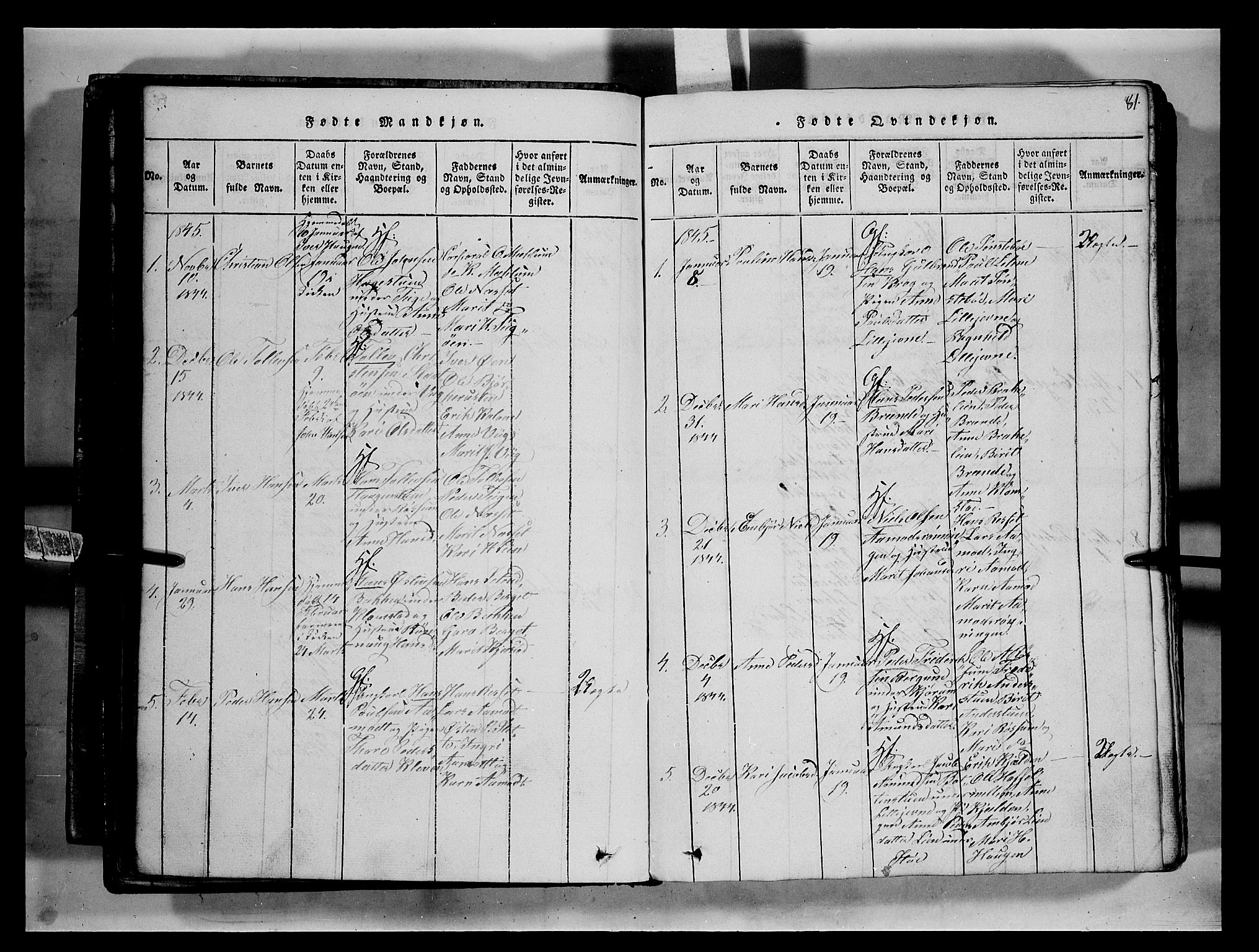 Fron prestekontor, SAH/PREST-078/H/Ha/Hab/L0002: Parish register (copy) no. 2, 1816-1850, p. 81