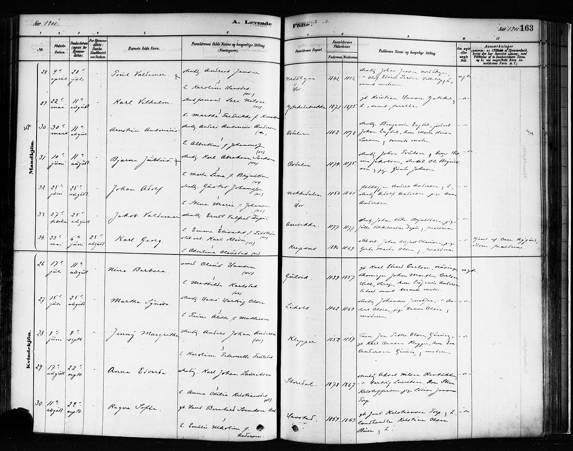 Idd prestekontor Kirkebøker, AV/SAO-A-10911/F/Fc/L0006a: Parish register (official) no. III 6A, 1878-1903, p. 163