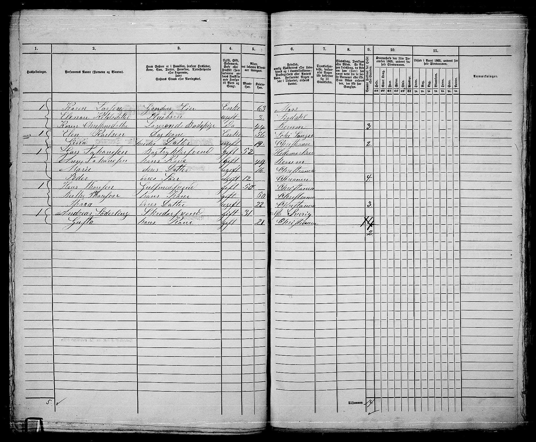 RA, 1865 census for Kristiania, 1865, p. 5365