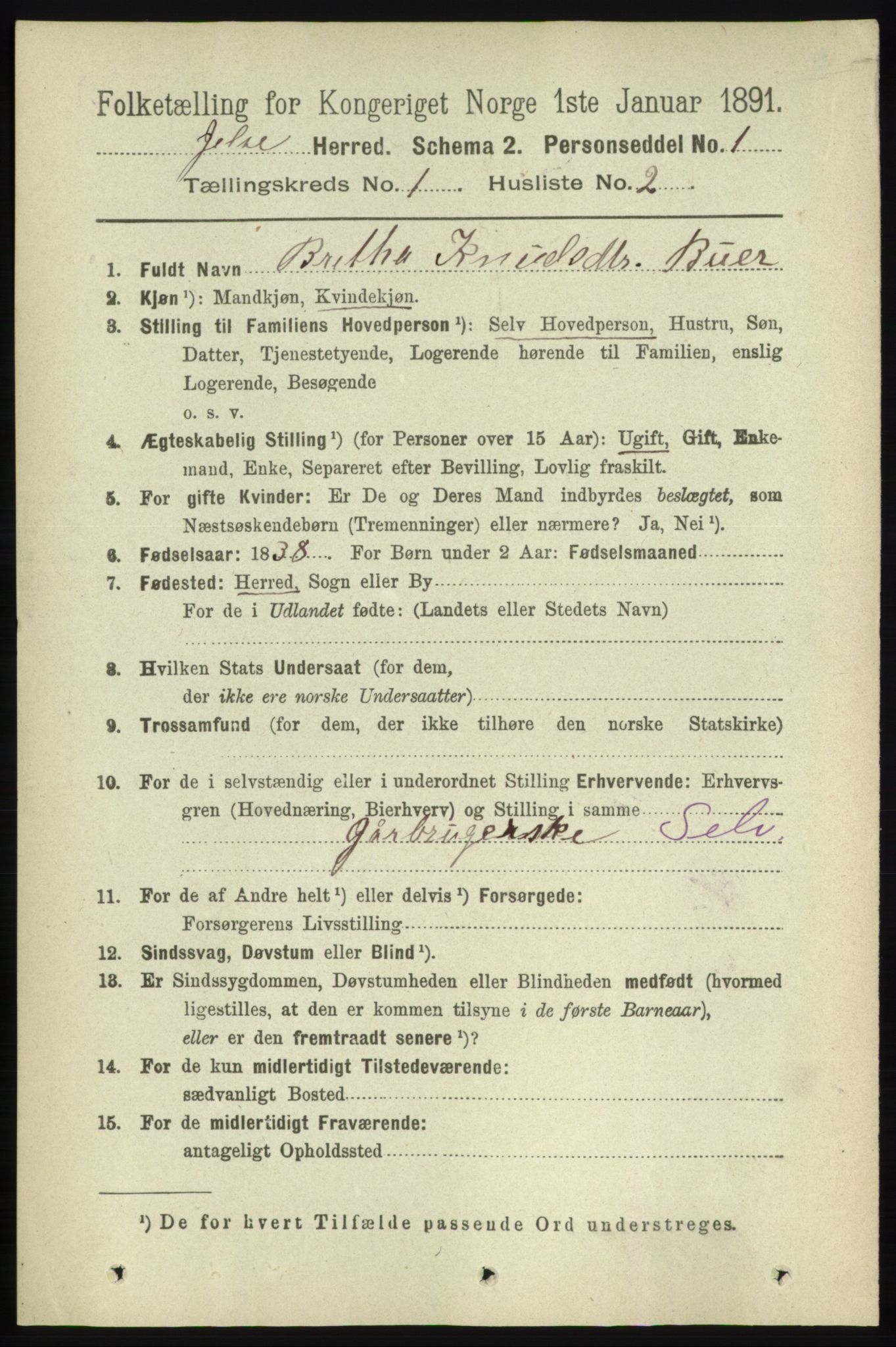 RA, 1891 census for 1138 Jelsa, 1891, p. 76