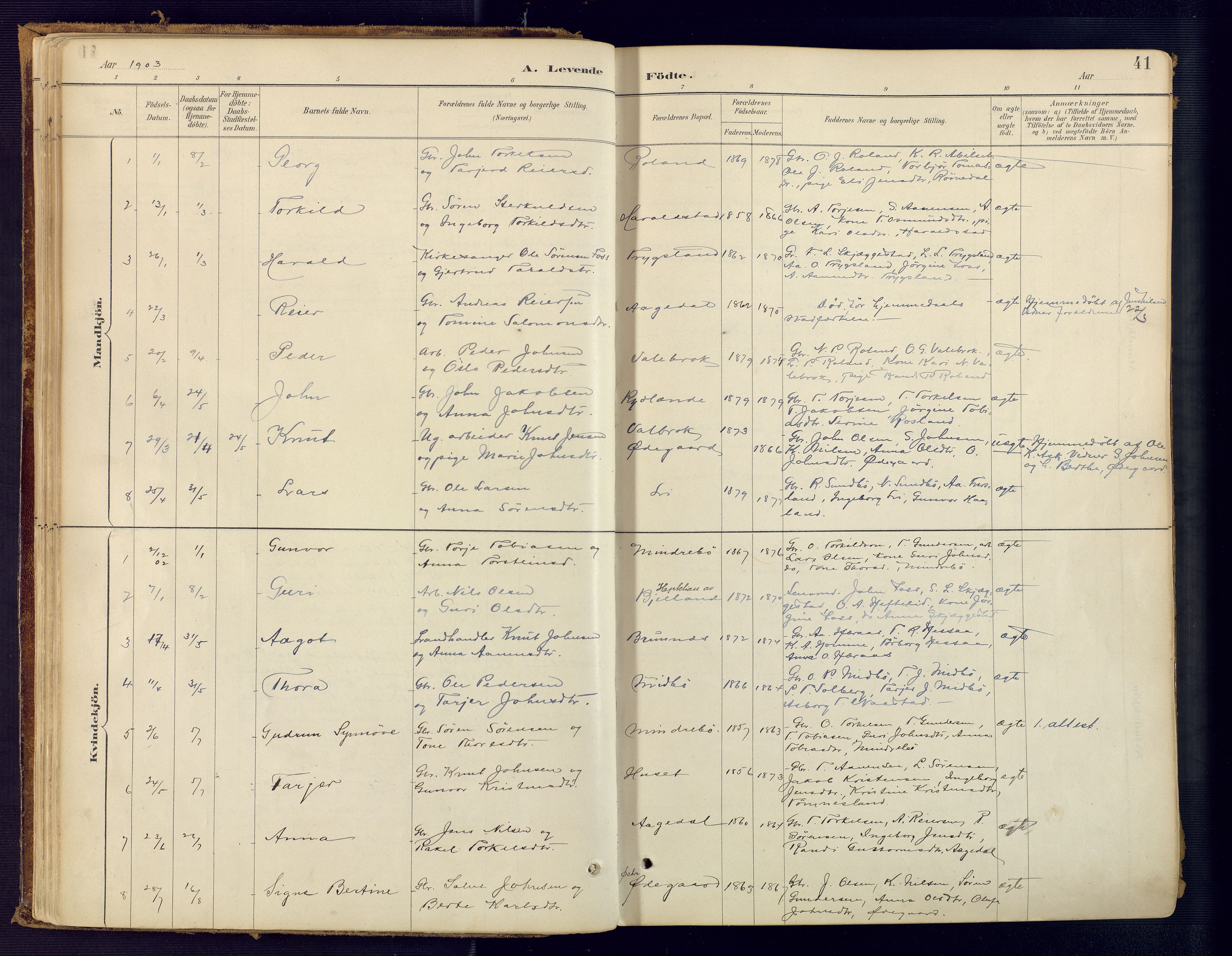 Bjelland sokneprestkontor, SAK/1111-0005/F/Fa/Faa/L0004: Parish register (official) no. A 4, 1887-1923, p. 41
