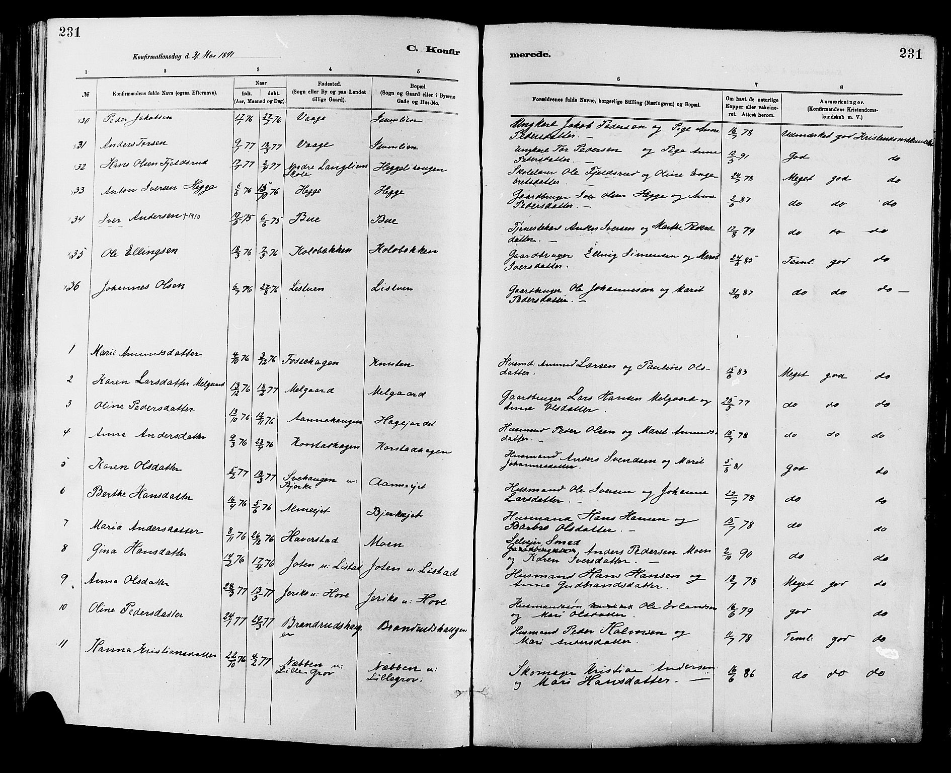 Sør-Fron prestekontor, AV/SAH-PREST-010/H/Ha/Haa/L0003: Parish register (official) no. 3, 1881-1897, p. 231