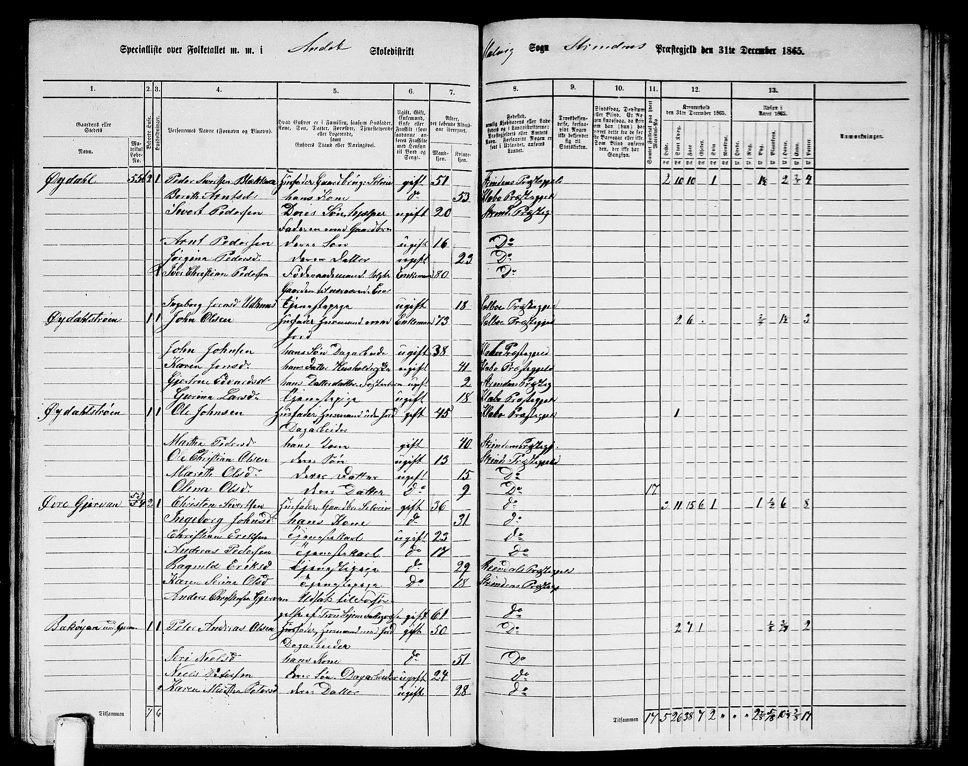 RA, 1865 census for Strinda, 1865, p. 225