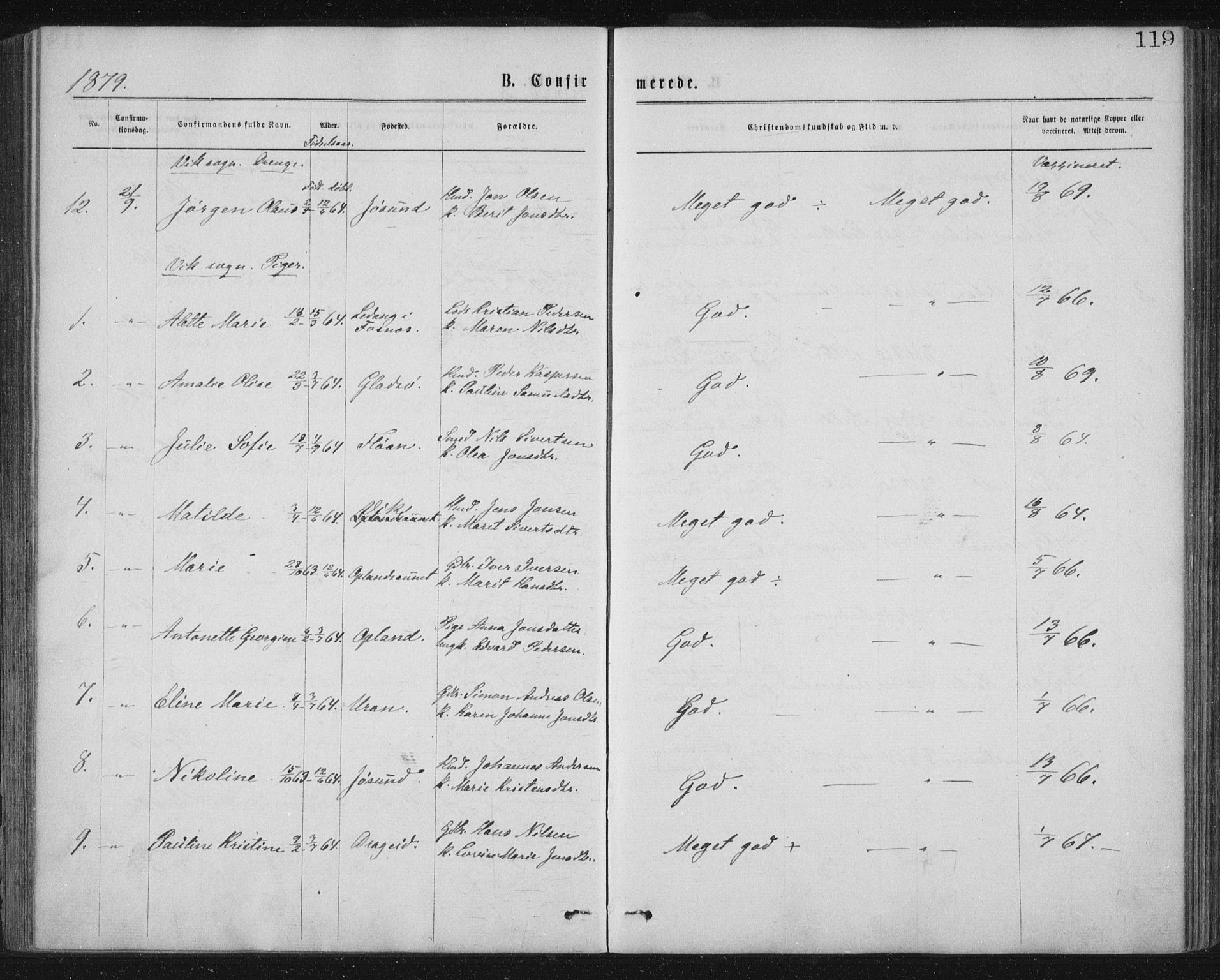 Ministerialprotokoller, klokkerbøker og fødselsregistre - Nord-Trøndelag, AV/SAT-A-1458/771/L0596: Parish register (official) no. 771A03, 1870-1884, p. 119