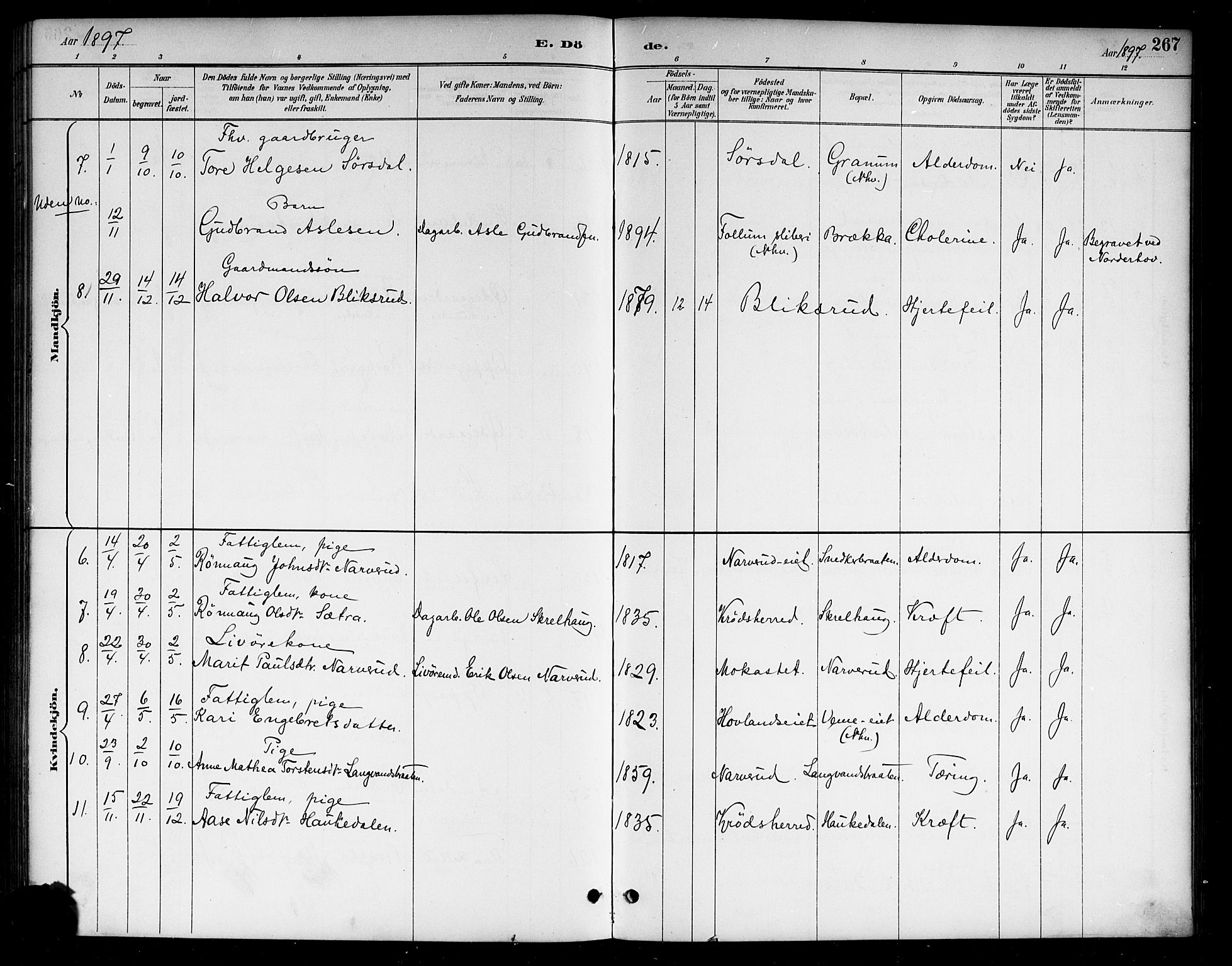 Lunder kirkebøker, SAKO/A-629/G/Ga/L0004: Parish register (copy) no. I 4, 1889-1917, p. 267