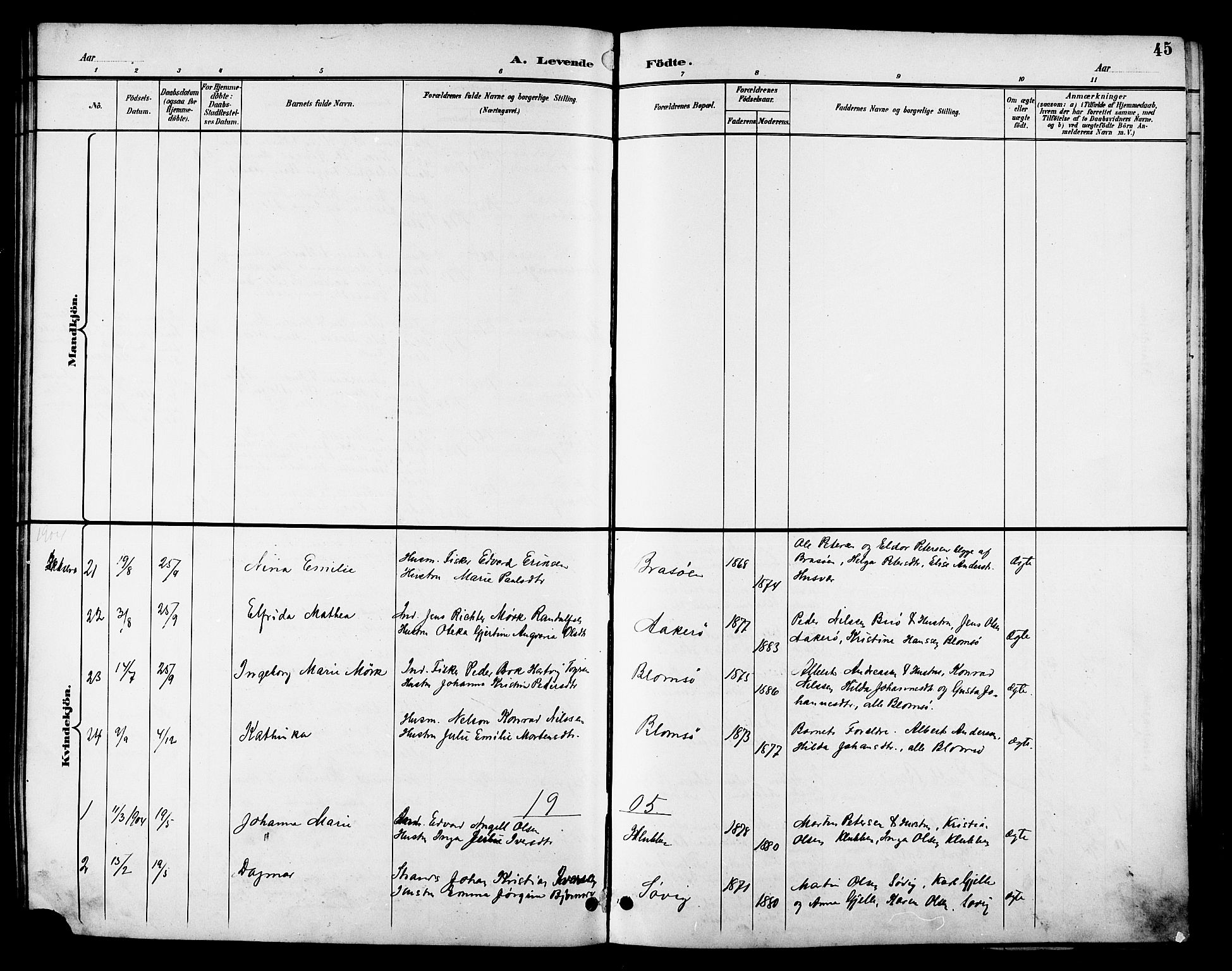 Ministerialprotokoller, klokkerbøker og fødselsregistre - Nordland, SAT/A-1459/830/L0463: Parish register (copy) no. 830C05, 1895-1906, p. 45
