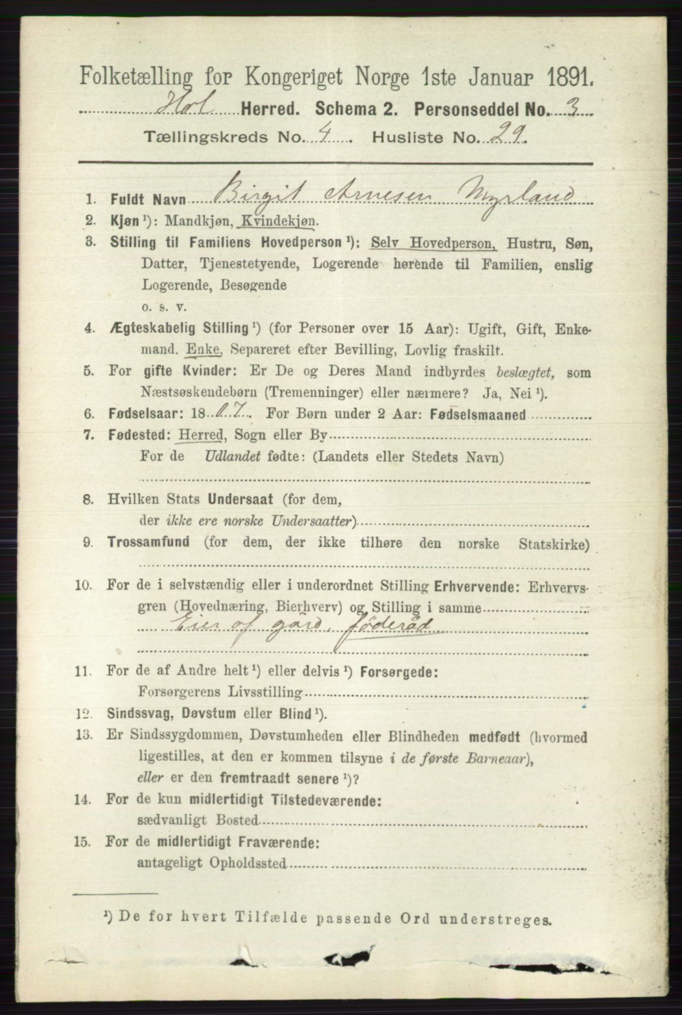 RA, 1891 census for 0620 Hol, 1891, p. 1415