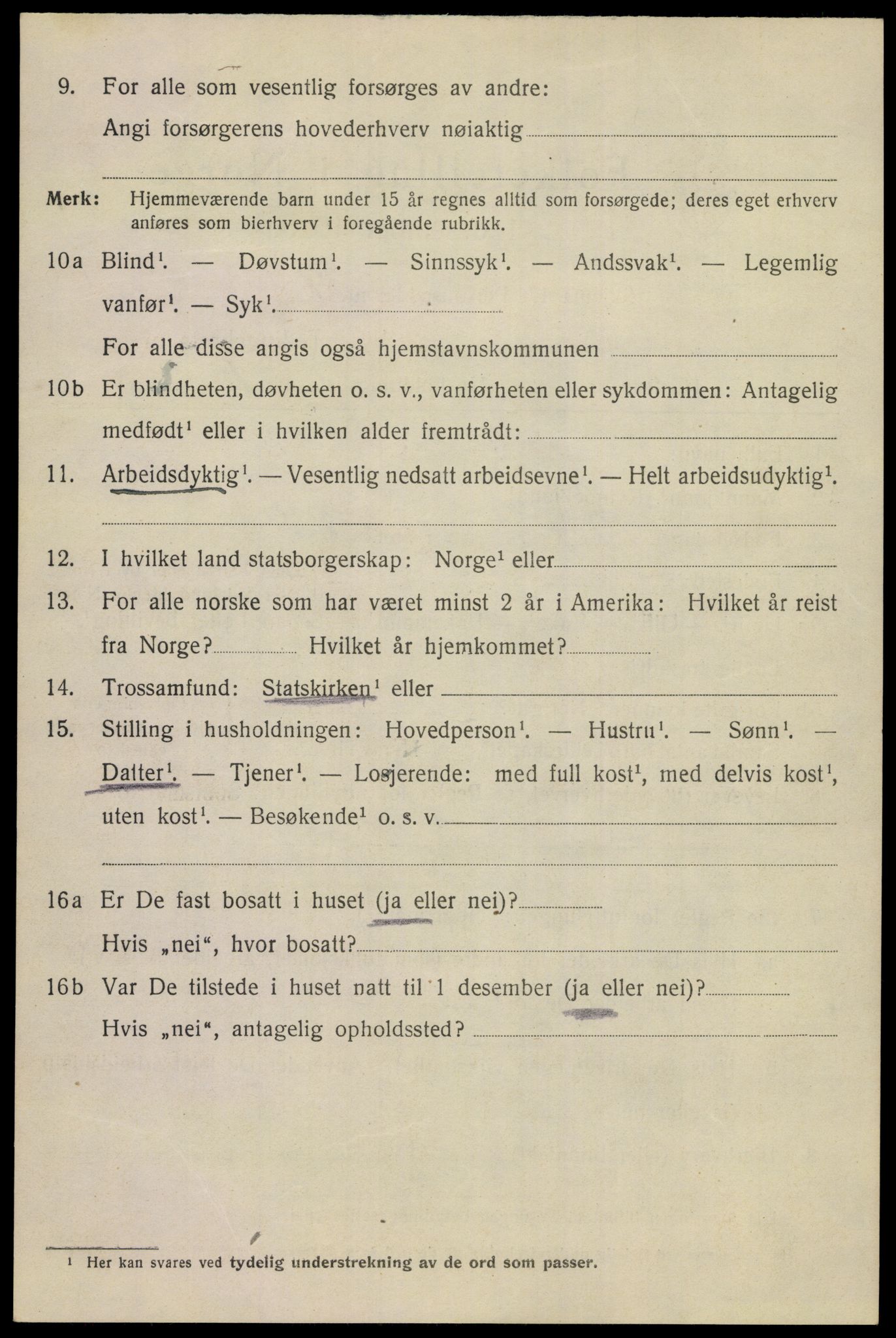SAKO, 1920 census for Porsgrunn, 1920, p. 19884