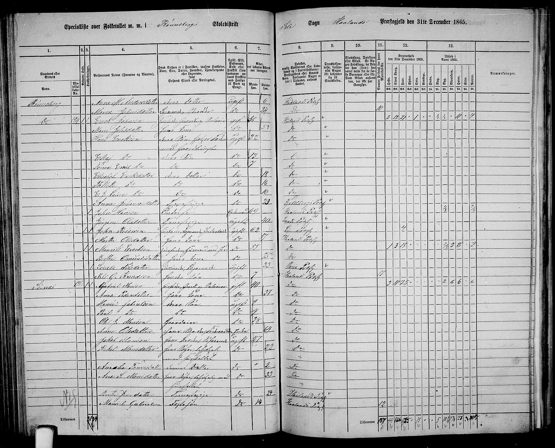 RA, 1865 census for Håland, 1865, p. 91