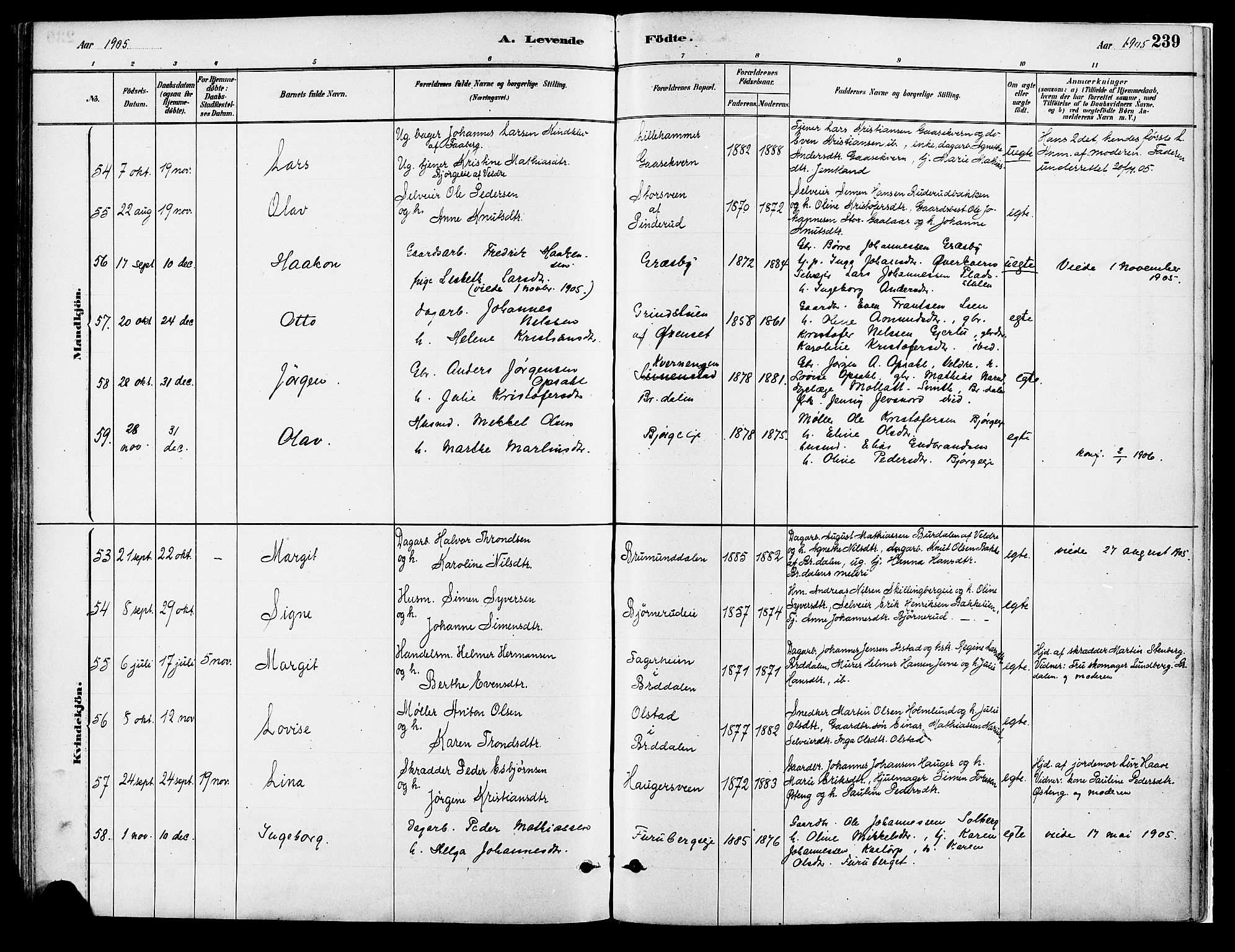 Vang prestekontor, Hedmark, AV/SAH-PREST-008/H/Ha/Haa/L0018A: Parish register (official) no. 18A, 1880-1906, p. 239