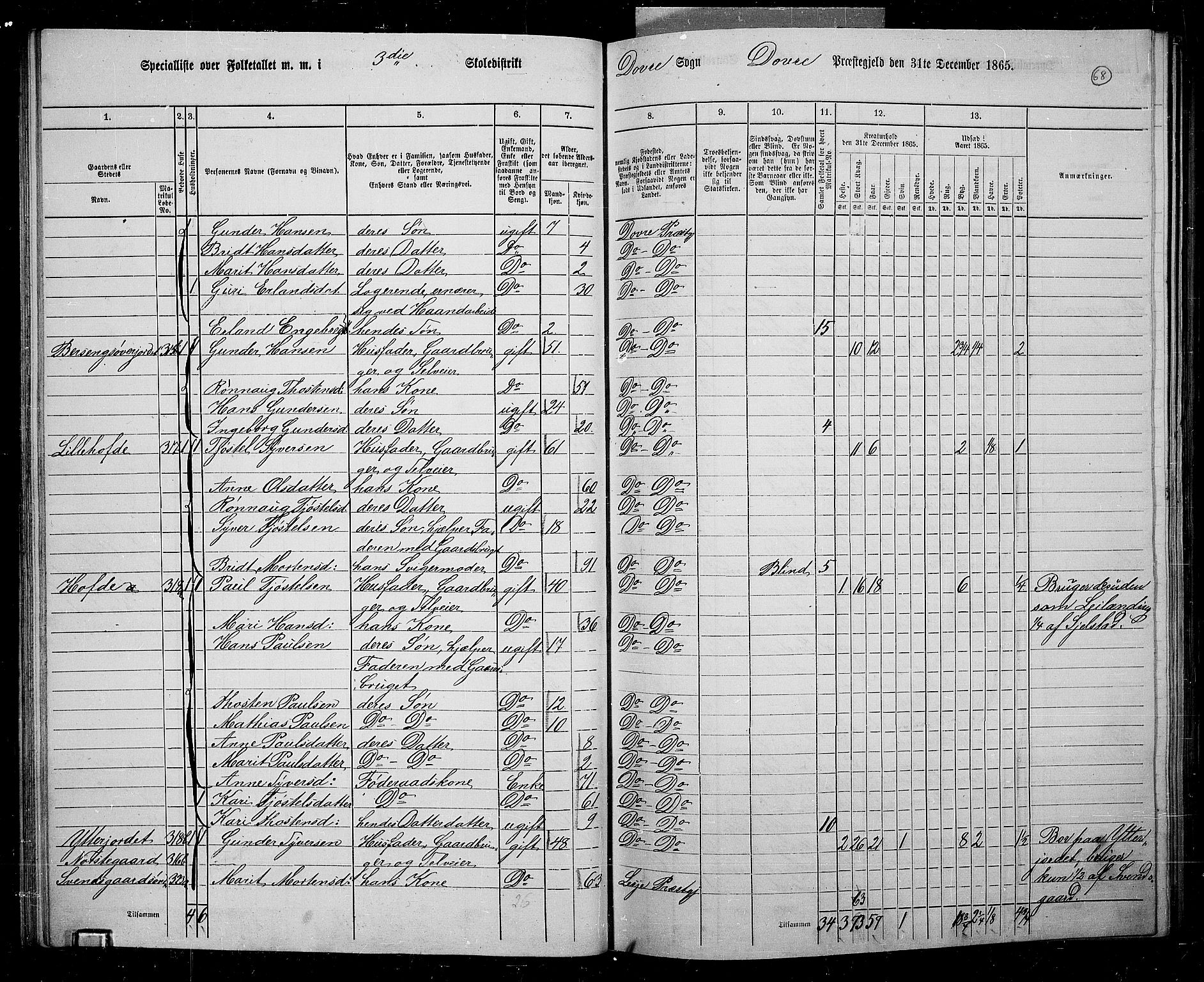 RA, 1865 census for Dovre, 1865, p. 64