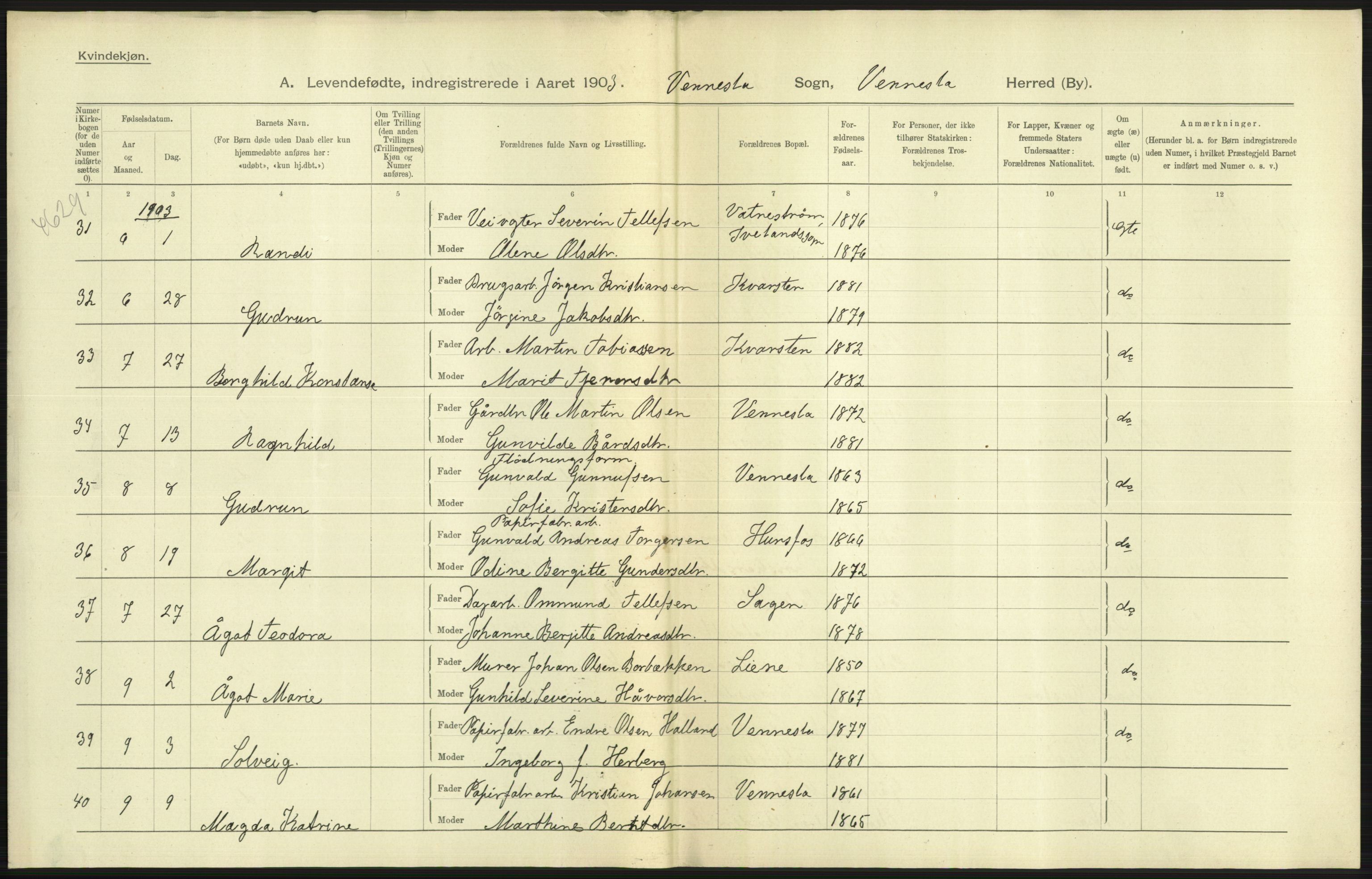 Statistisk sentralbyrå, Sosiodemografiske emner, Befolkning, AV/RA-S-2228/D/Df/Dfa/Dfaa/L0011: Lister og Mandal amt: Fødte, gifte, døde, 1903, p. 171