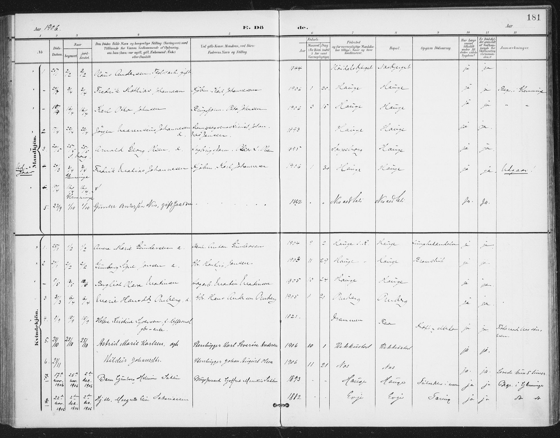 Rolvsøy prestekontor Kirkebøker, AV/SAO-A-2004/F/Fa/L0001: Parish register (official) no. 1, 1901-1909, p. 181