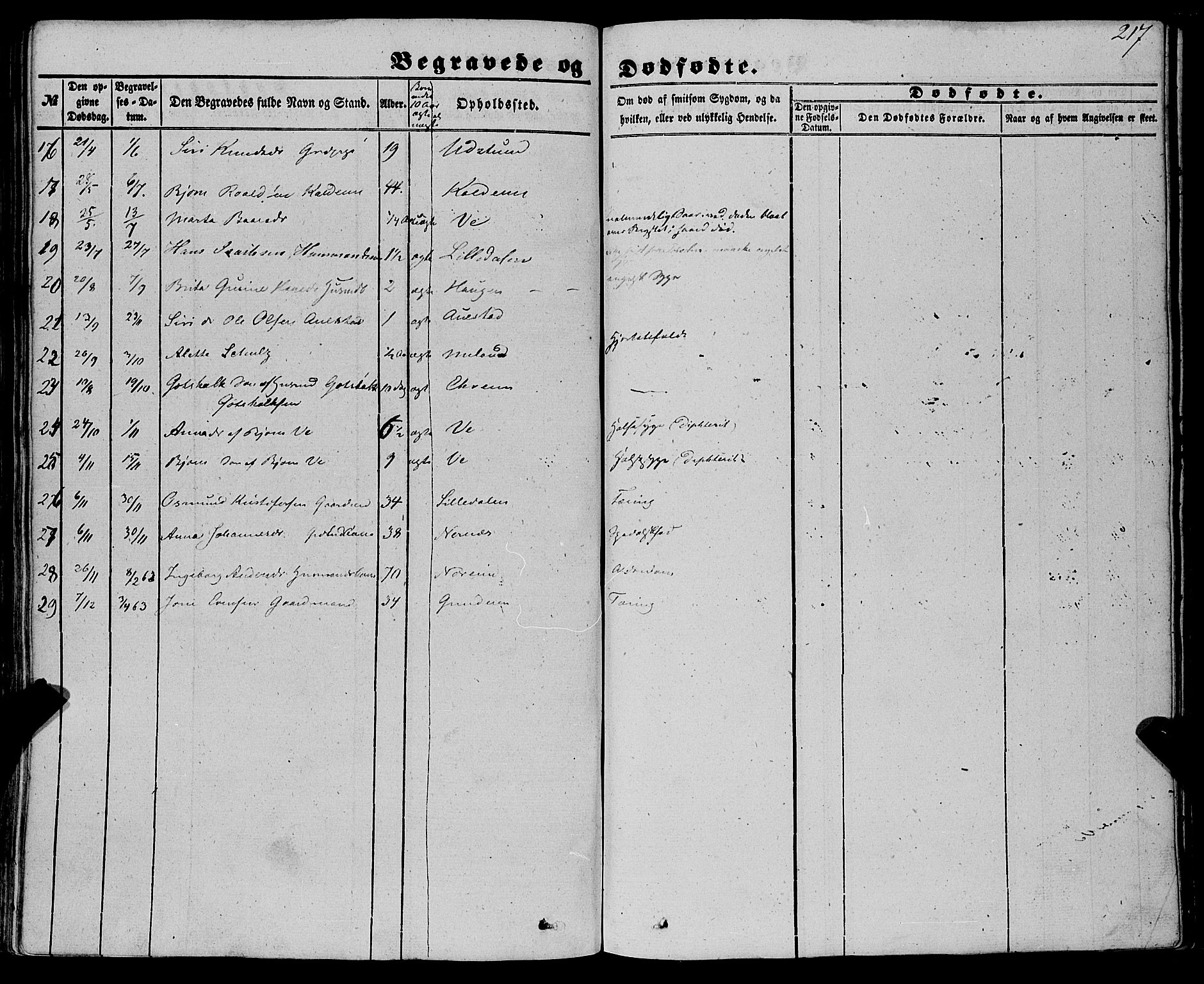 Etne sokneprestembete, AV/SAB-A-75001/H/Haa: Parish register (official) no. A 8, 1848-1862, p. 217