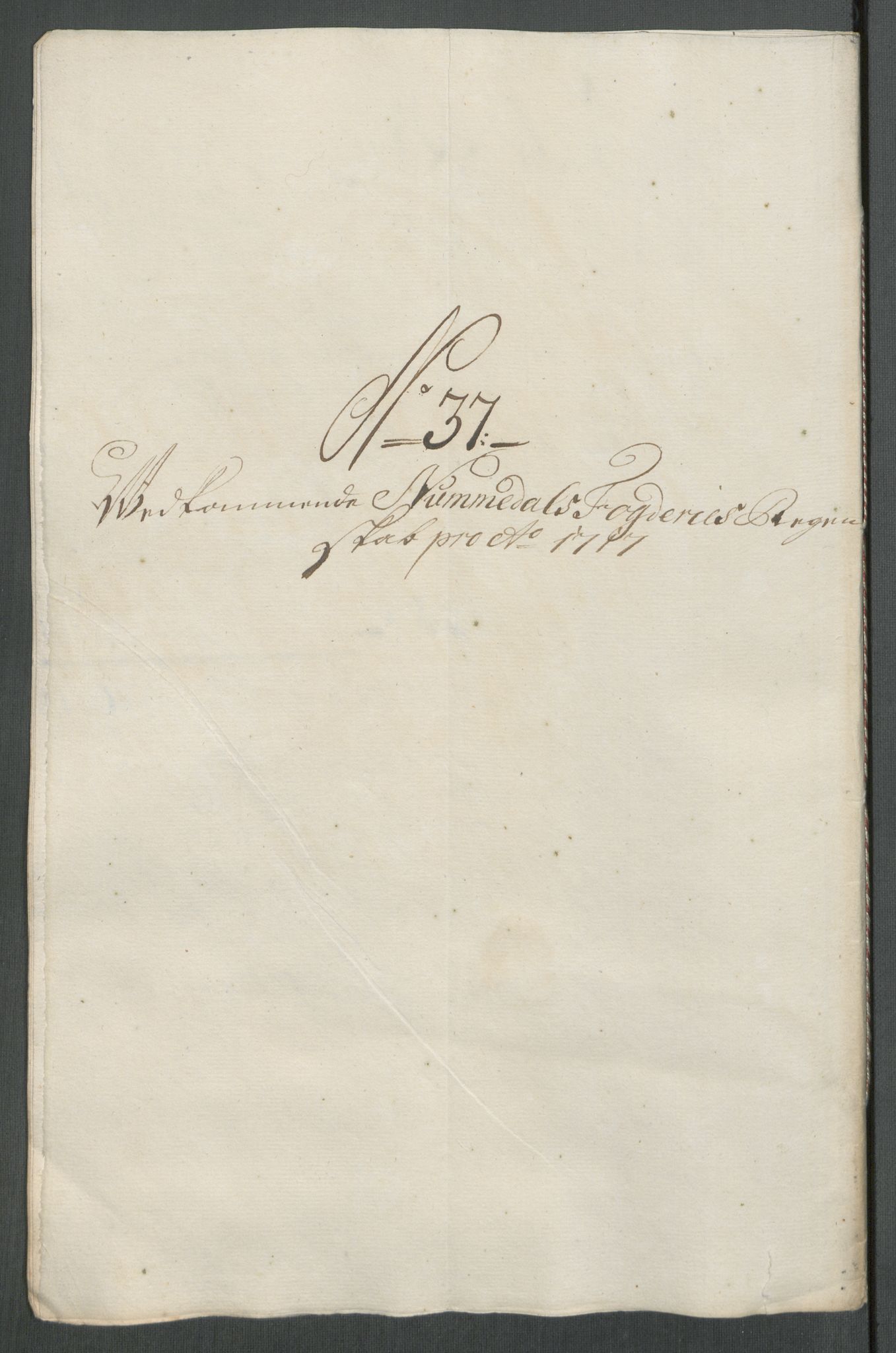 Rentekammeret inntil 1814, Reviderte regnskaper, Fogderegnskap, AV/RA-EA-4092/R64/L4438: Fogderegnskap Namdal, 1717, p. 236