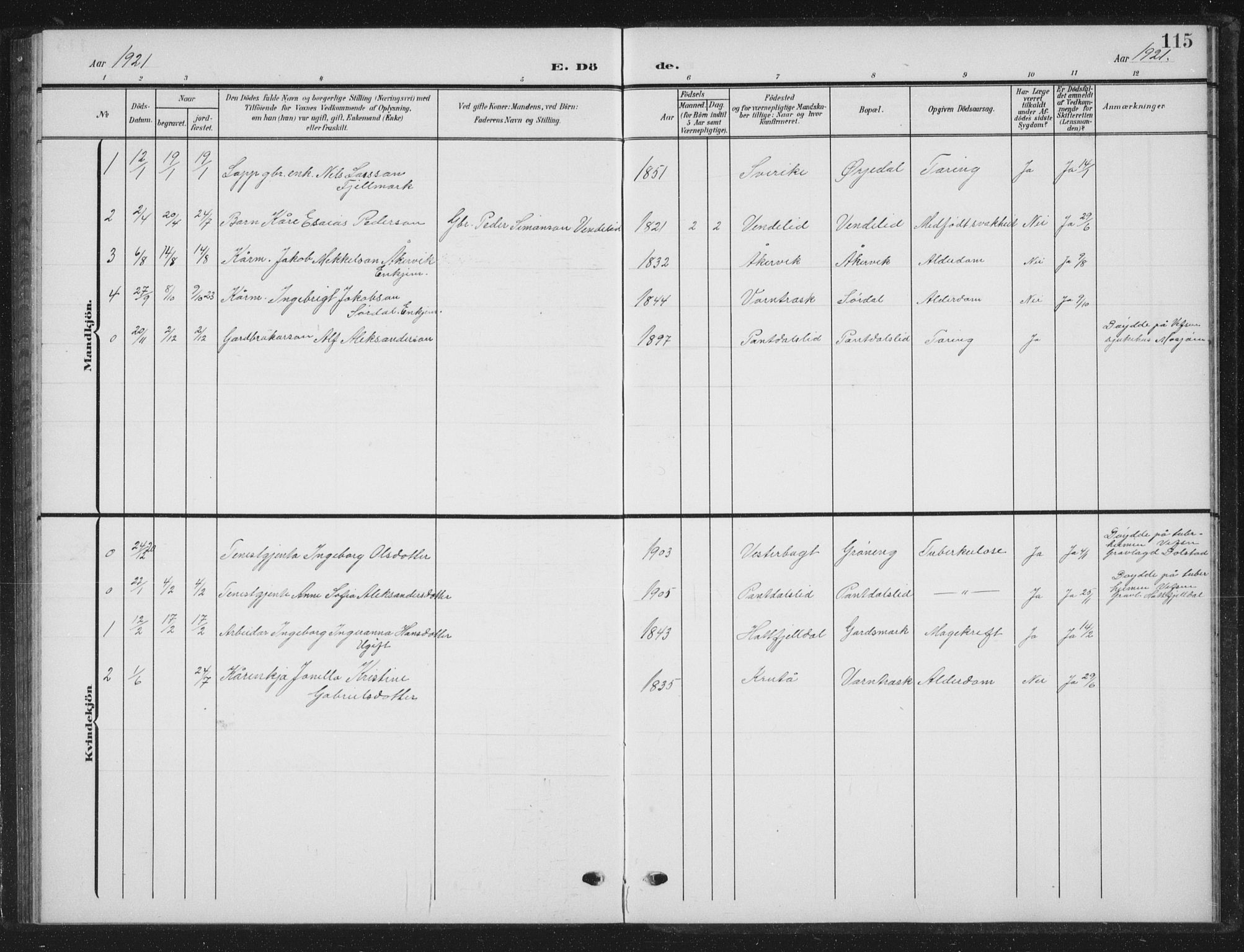 Ministerialprotokoller, klokkerbøker og fødselsregistre - Nordland, AV/SAT-A-1459/823/L0331: Parish register (copy) no. 823C03, 1905-1934, p. 115