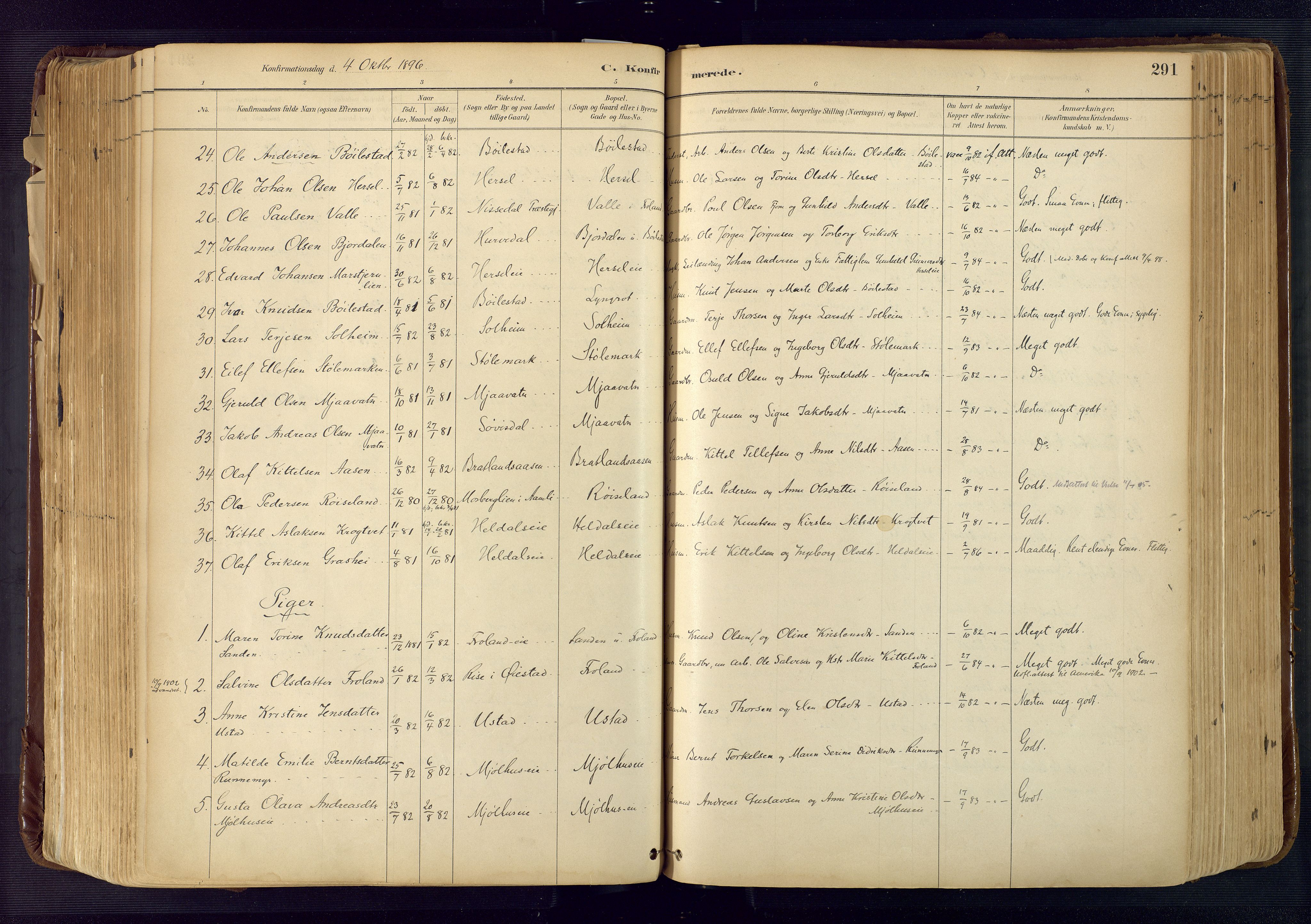 Froland sokneprestkontor, SAK/1111-0013/F/Fa/L0005: Parish register (official) no. A 5, 1882-1921, p. 291