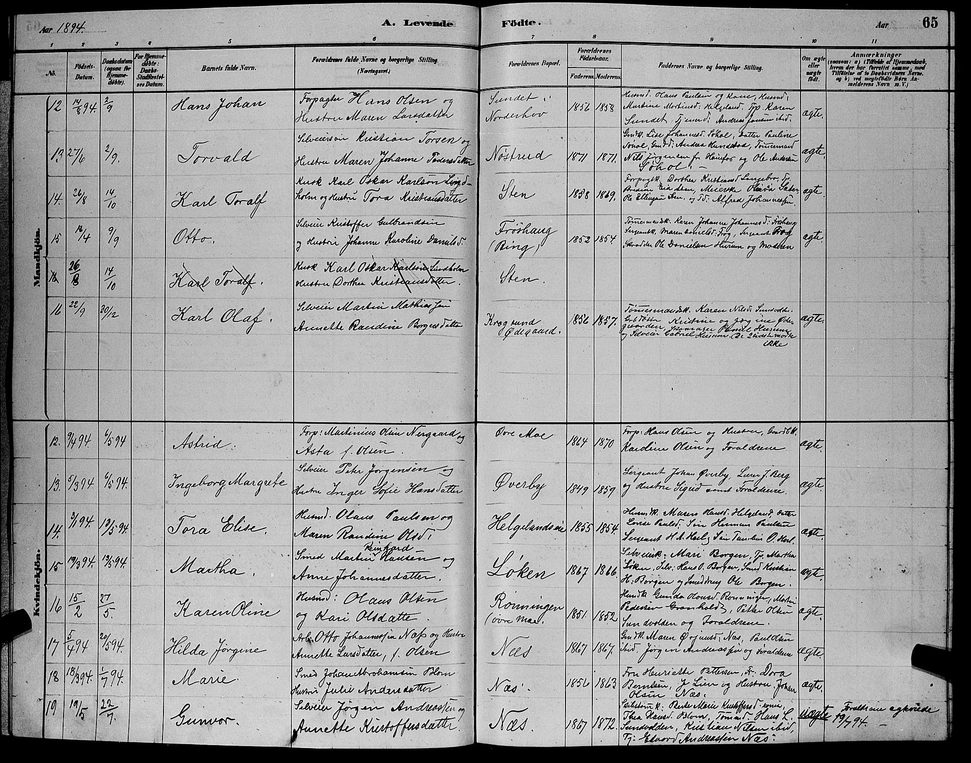 Hole kirkebøker, SAKO/A-228/G/Ga/L0003: Parish register (copy) no. I 3, 1879-1904, p. 65